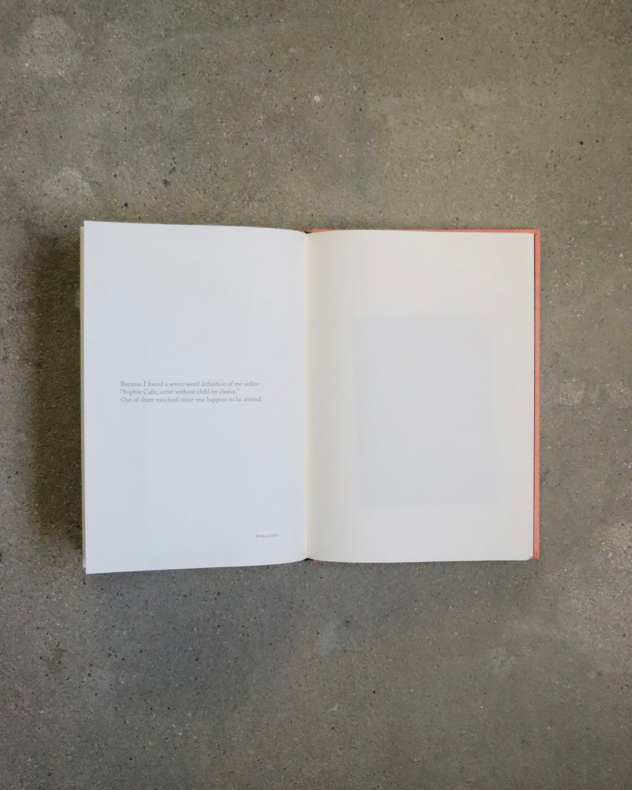 BECAUSE by Sophie Calle