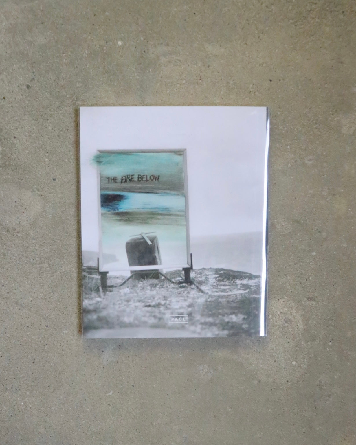 ROBERT FRANK: HOPE MAKES VISIONS by Robert Frank