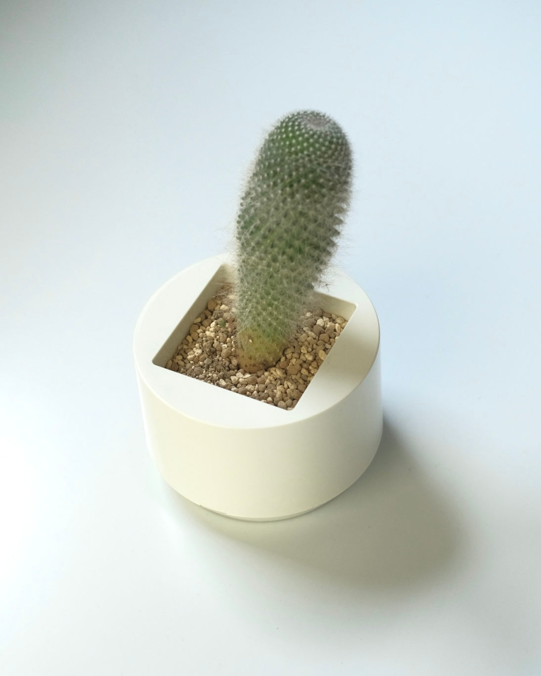 ROUND by Masanori Umeda