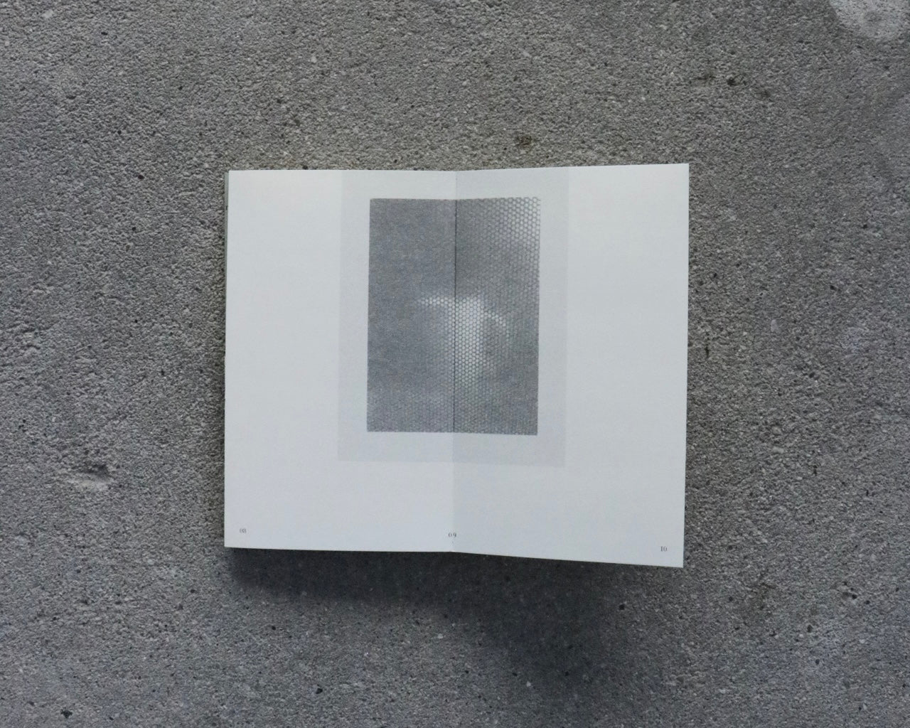 SAMY PRESS #1 microwaves-Ryuji Takahara