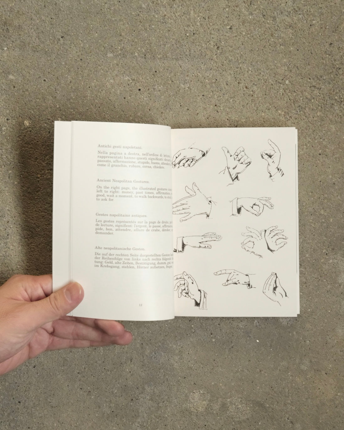 Supplemento al Dizionario Italiano/ Bruno Munari