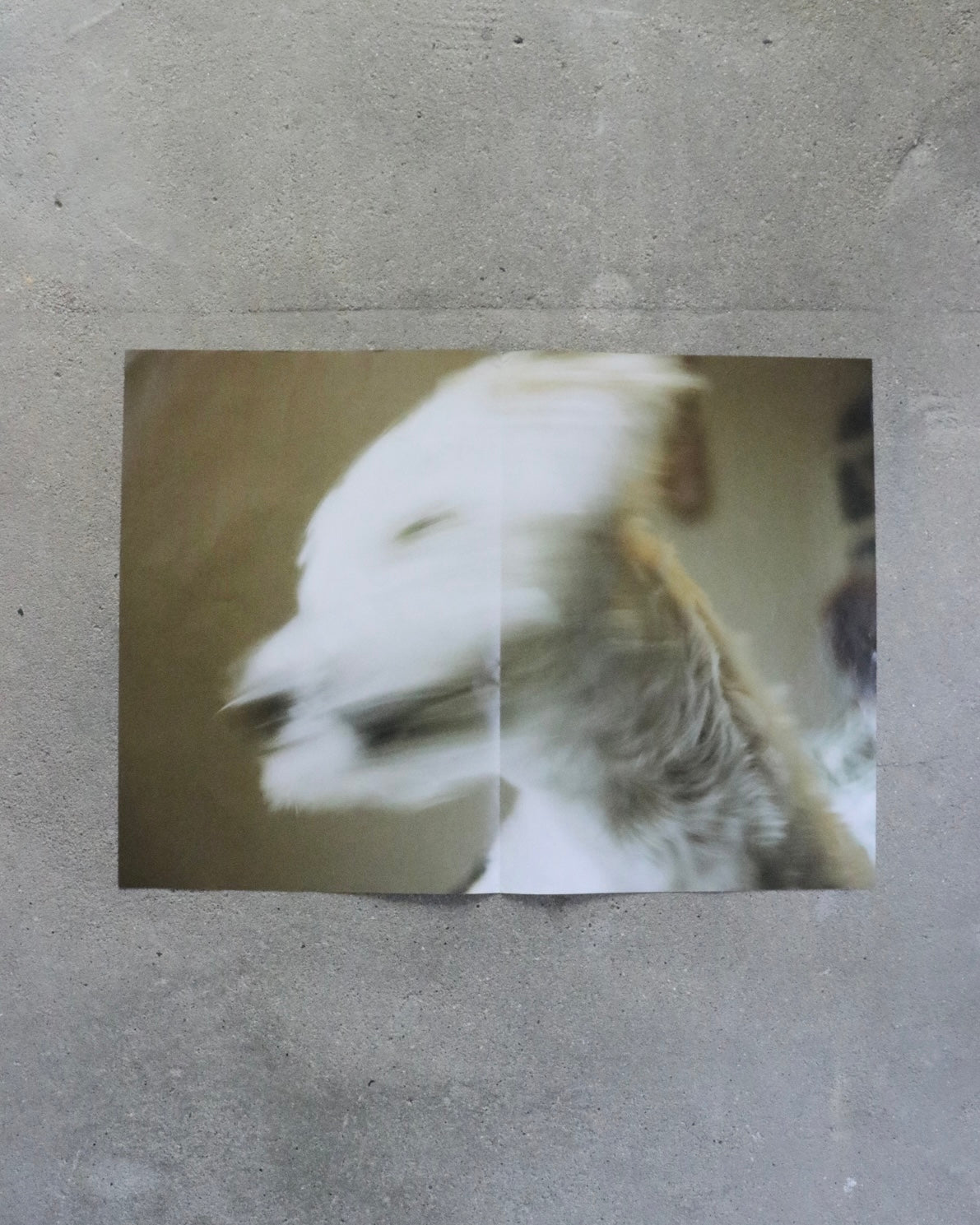 SAMY PRESS#4 No Rest for the Obsessed(Dog)-Keijiro Nagamine
