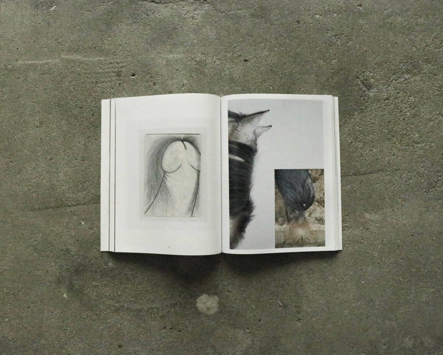 crosscurrent issue five, fall/winter 2024