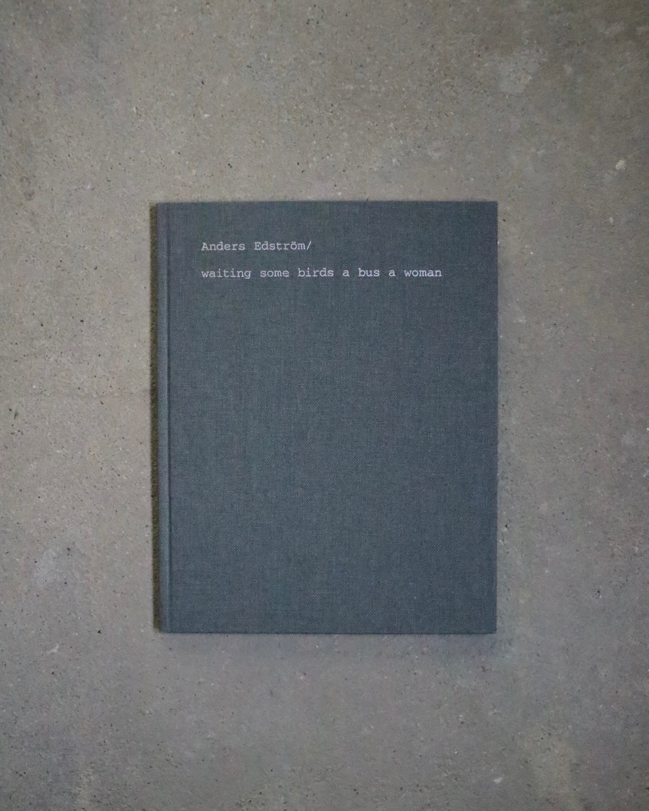 WAITING SOME BIRDS A BUS A WOMAN / SPIDERNETS PLACES A CREW - Anders Edstörom