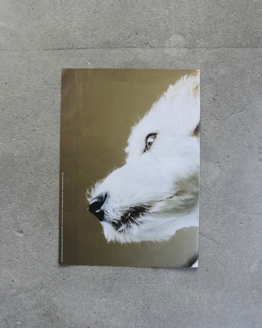 SAMY PRESS#4 No Rest for the Obsessed(Dog)-Keijiro Nagamine
