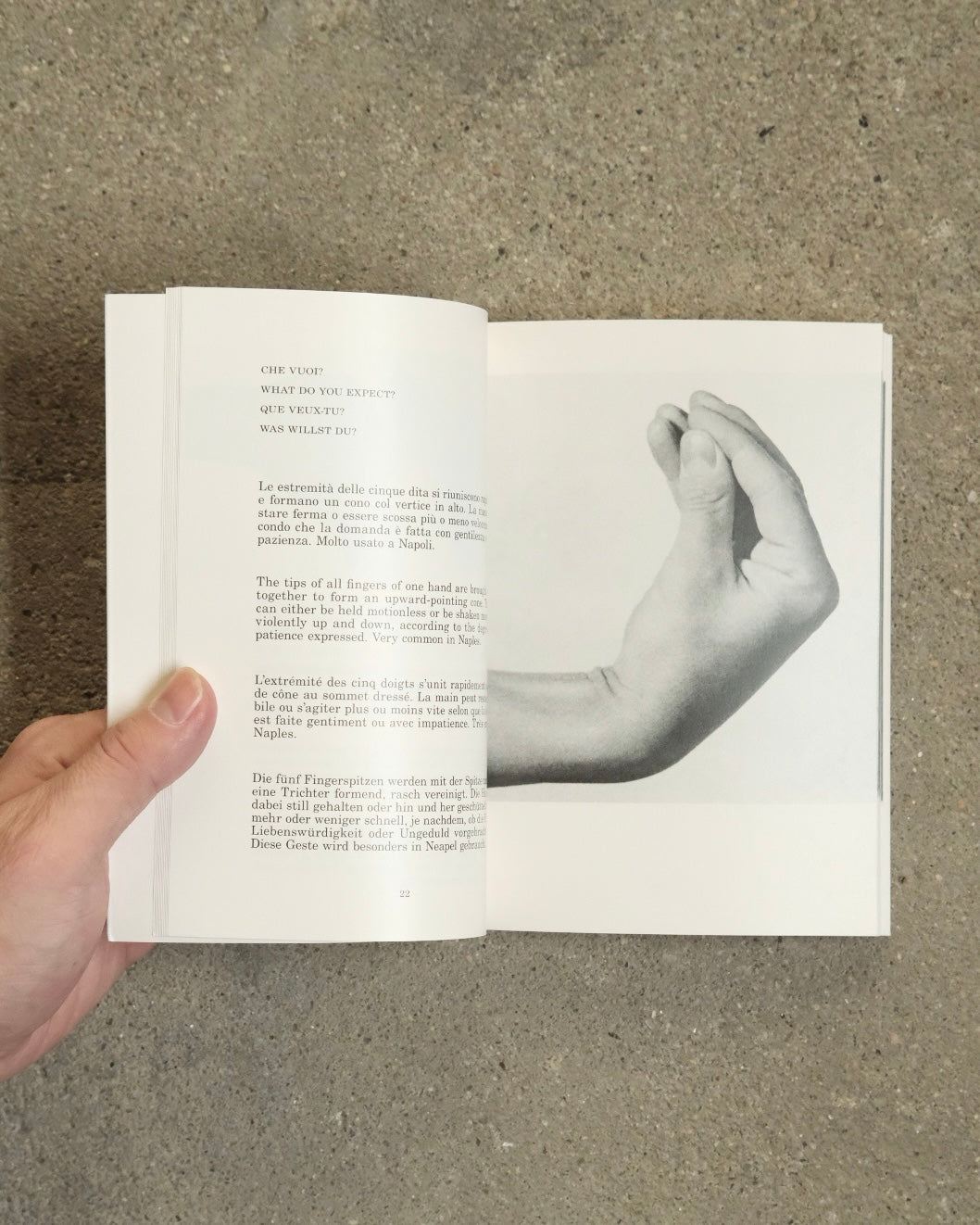 Supplemento al Dizionario Italiano/ Bruno Munari