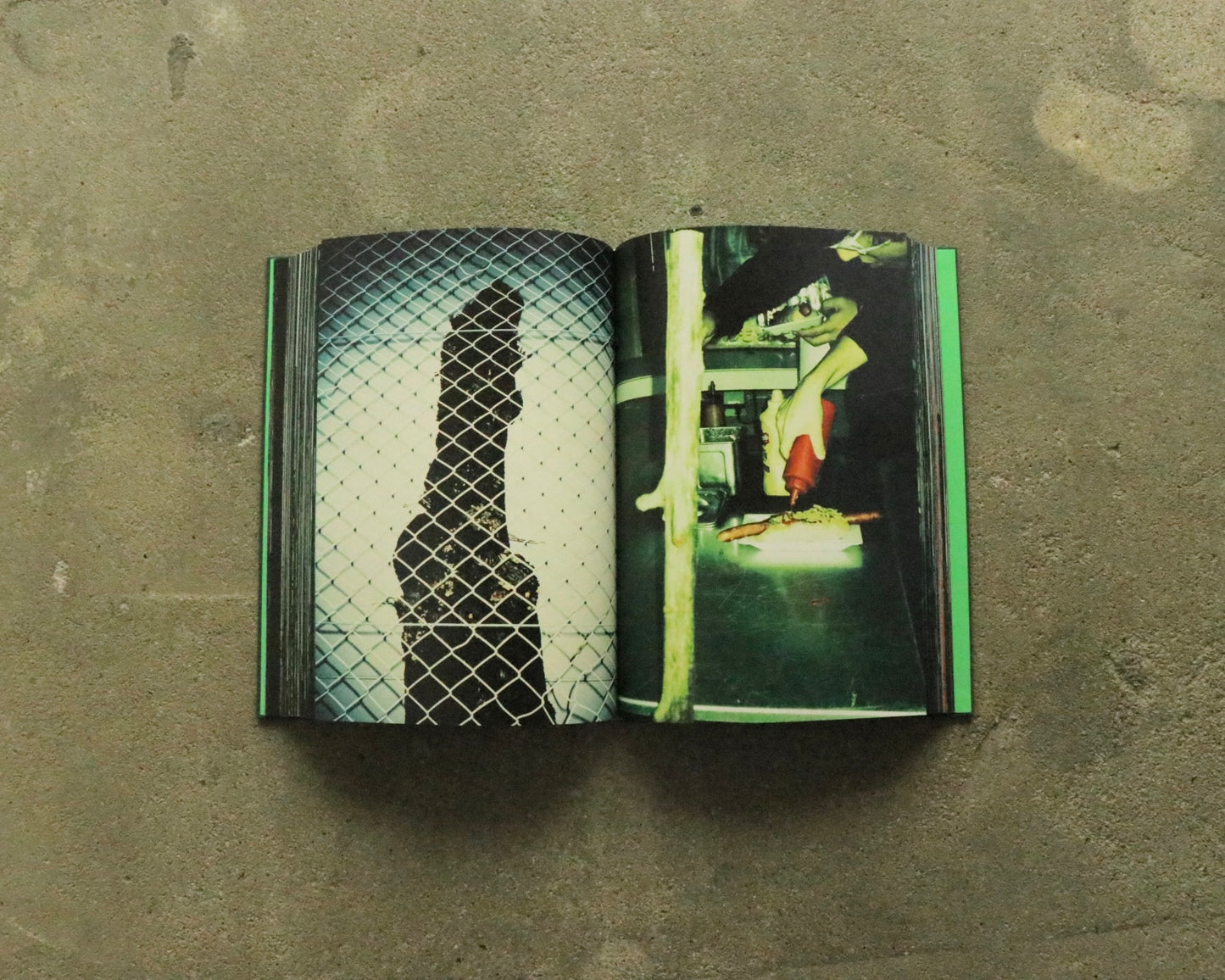 "PSY LYF" A Photographic Journal by Misha Hollenbach