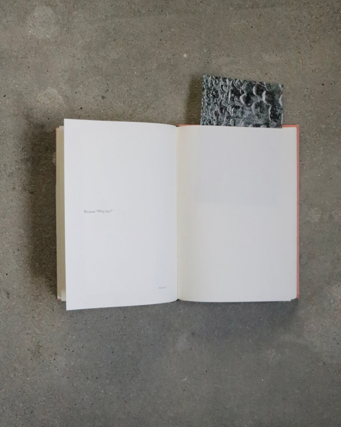 BECAUSE by Sophie Calle
