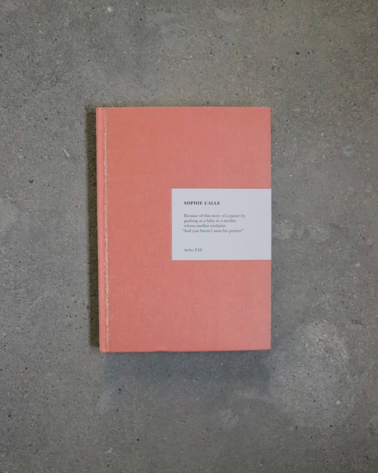 BECAUSE by Sophie Calle