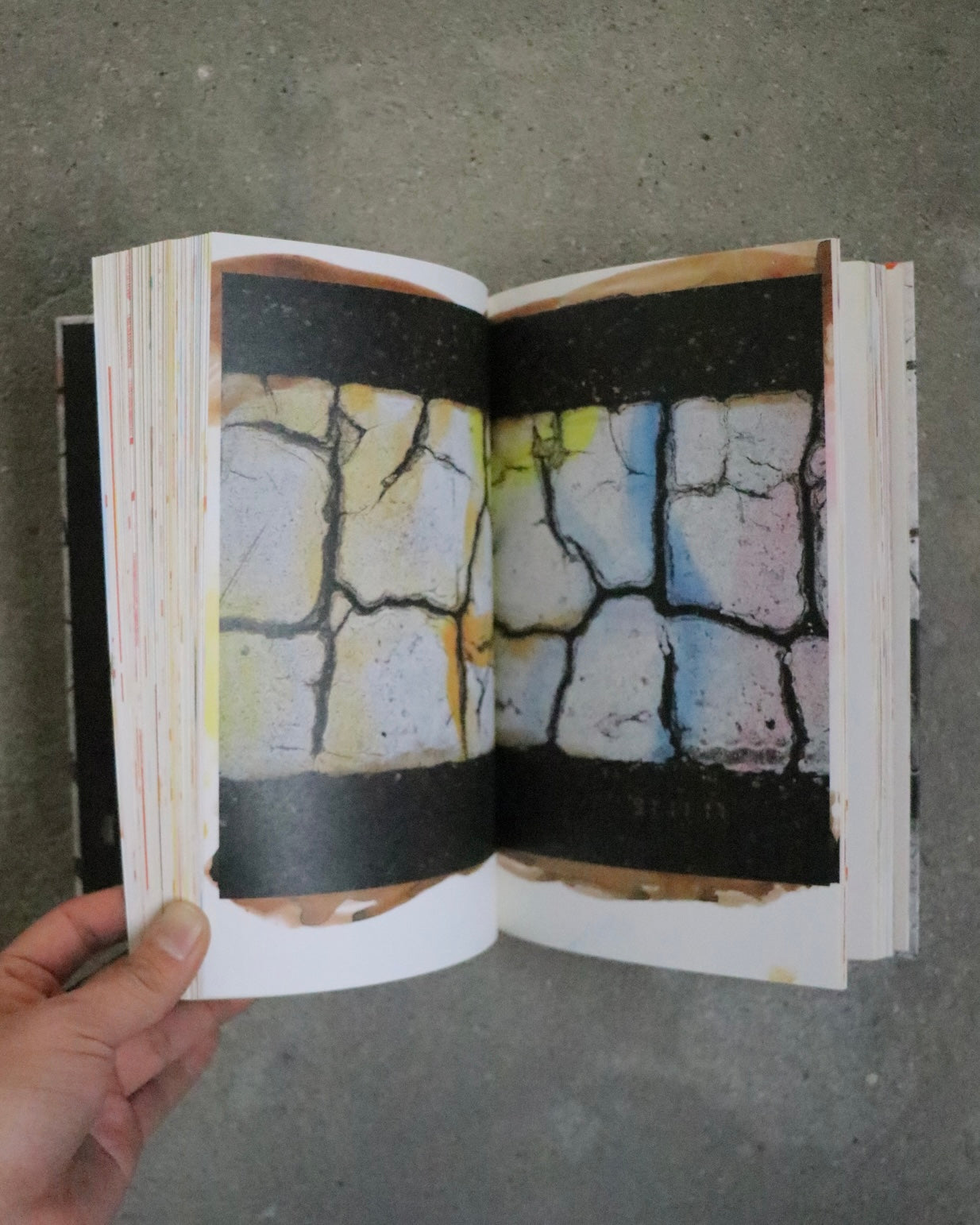 HIBI by Masahisa Fukase