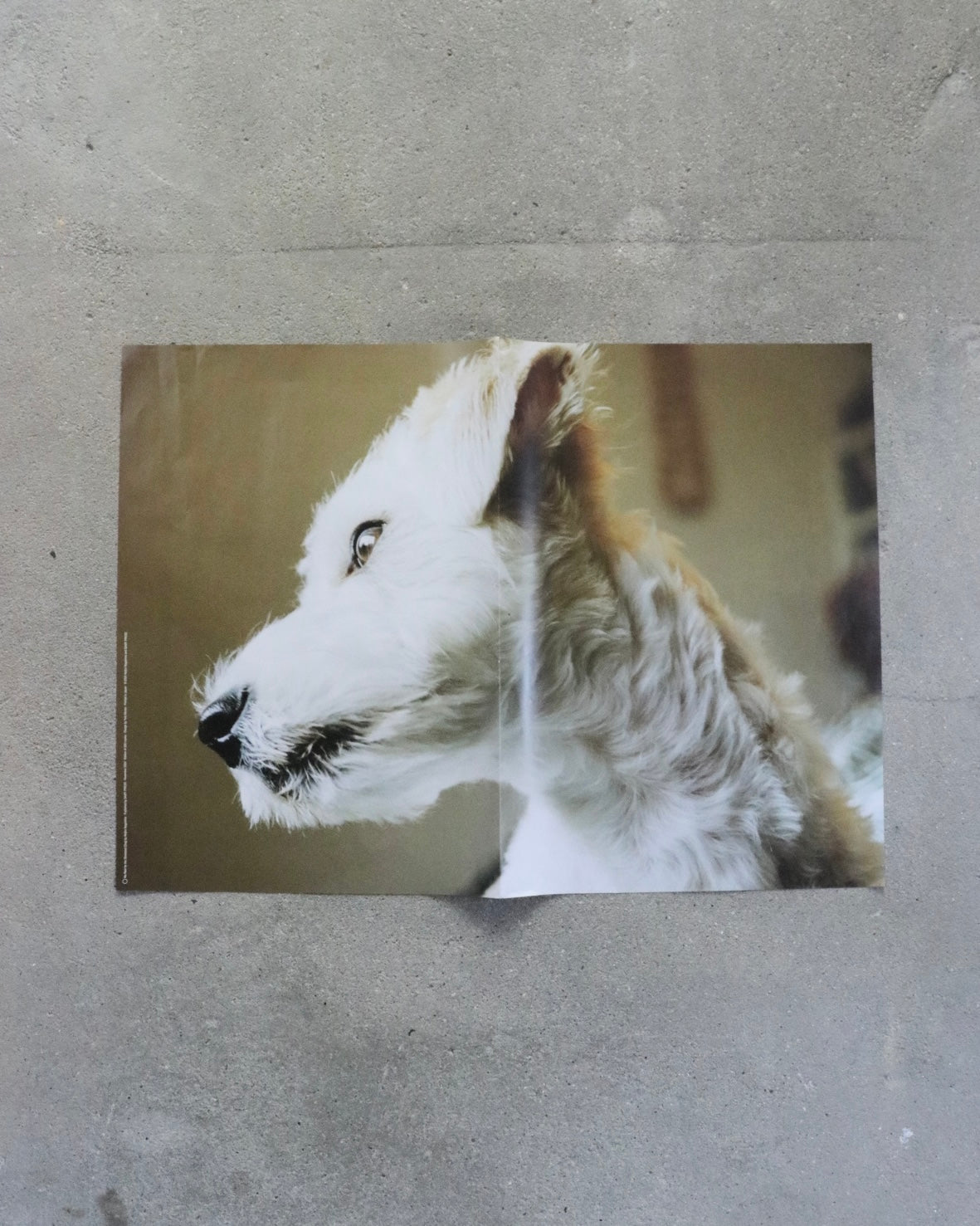 SAMY PRESS#4 No Rest for the Obsessed(Dog)-Keijiro Nagamine