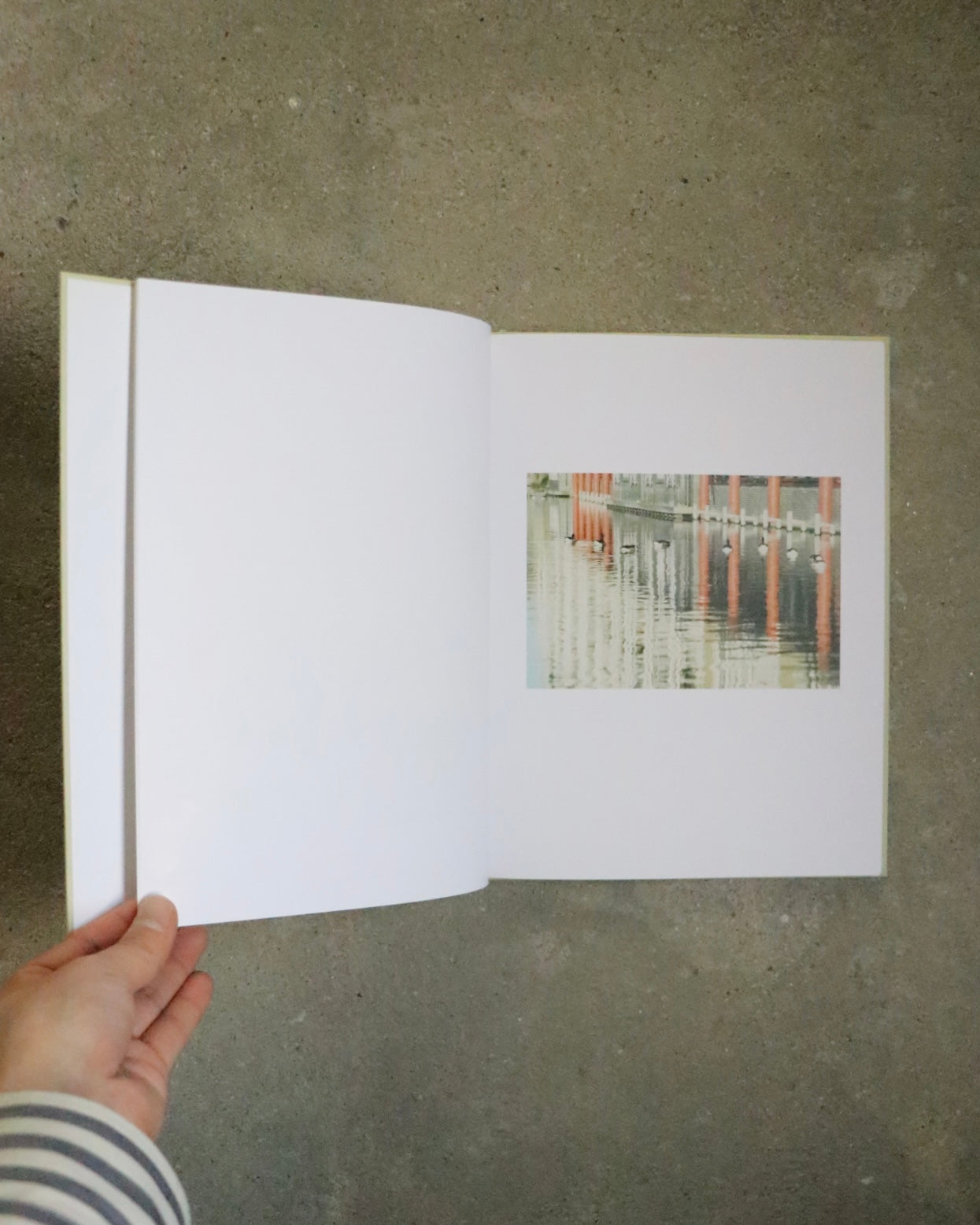 WAITING SOME BIRDS A BUS A WOMAN / SPIDERNETS PLACES A CREW - Anders Edstörom