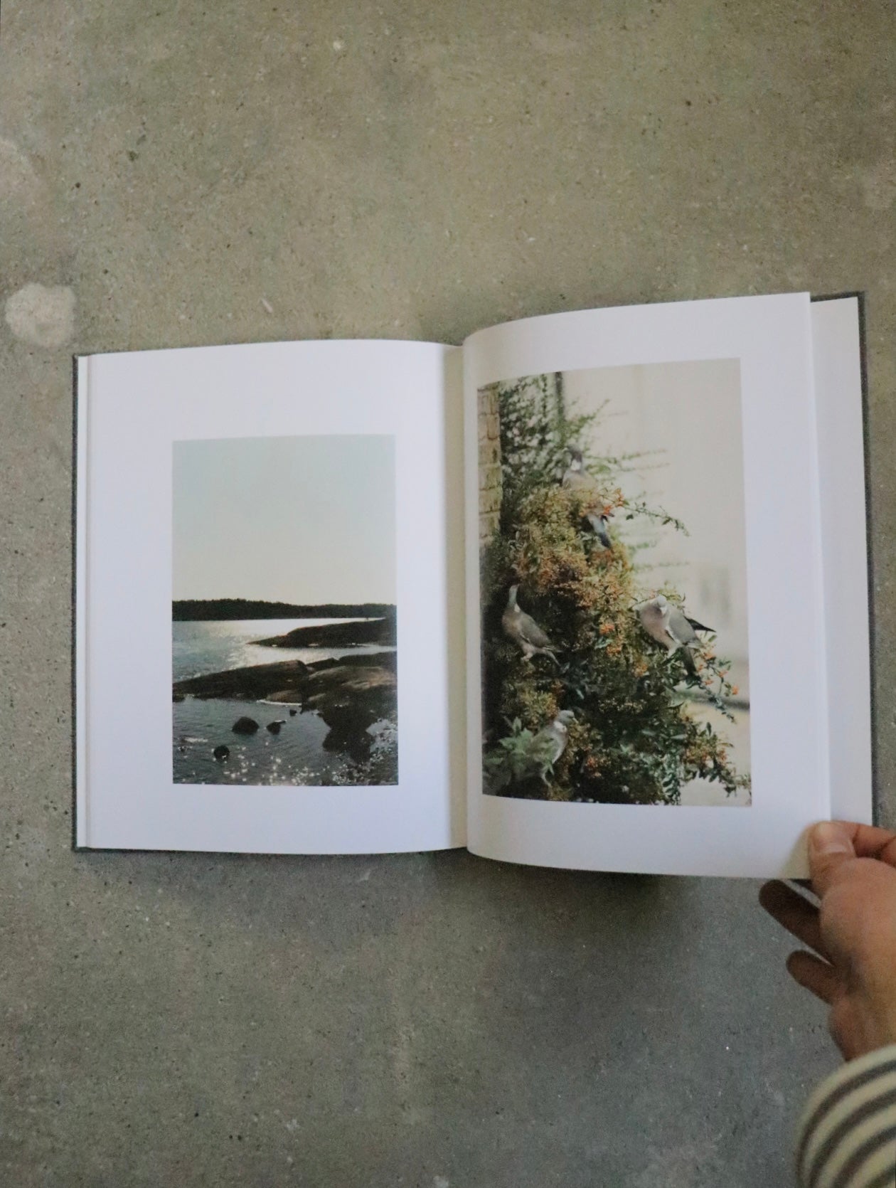 WAITING SOME BIRDS A BUS A WOMAN / SPIDERNETS PLACES A CREW - Anders Edstörom
