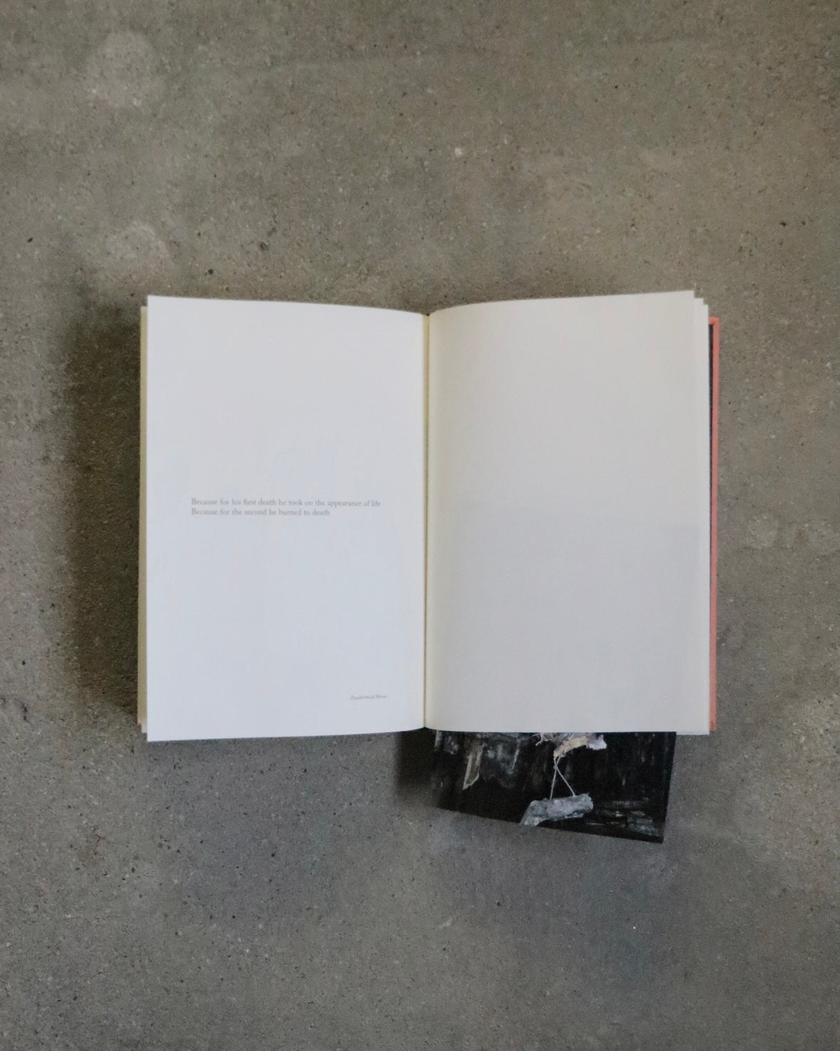 BECAUSE by Sophie Calle
