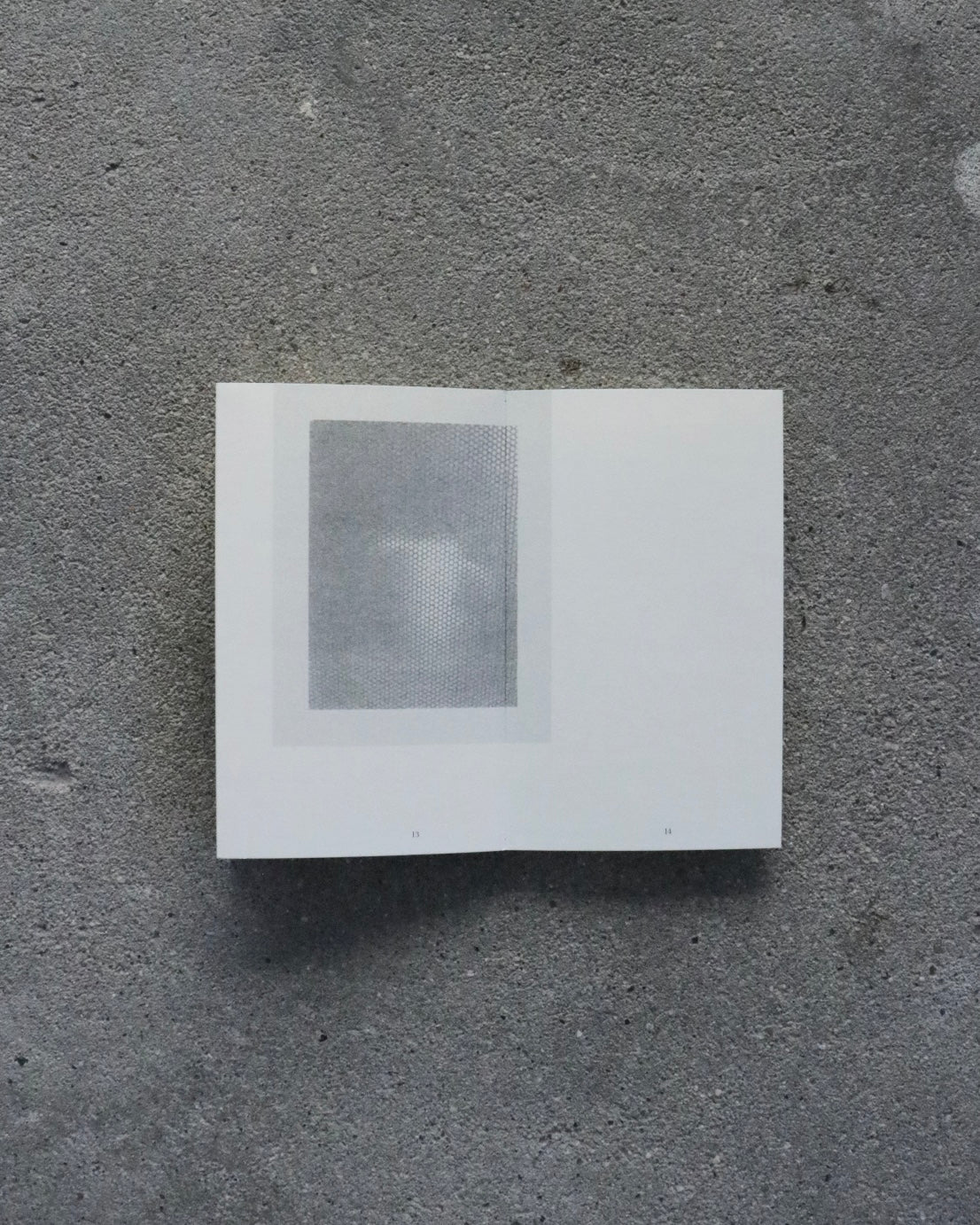 SAMY PRESS #1 microwaves-Ryuji Takahara