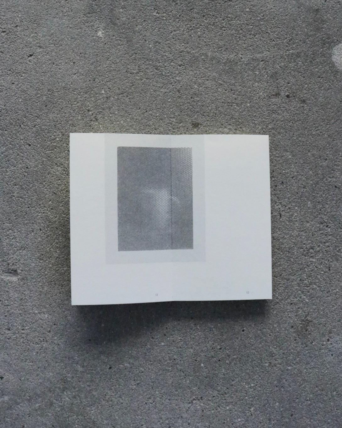 SAMY PRESS #1 microwaves-Ryuji Takahara