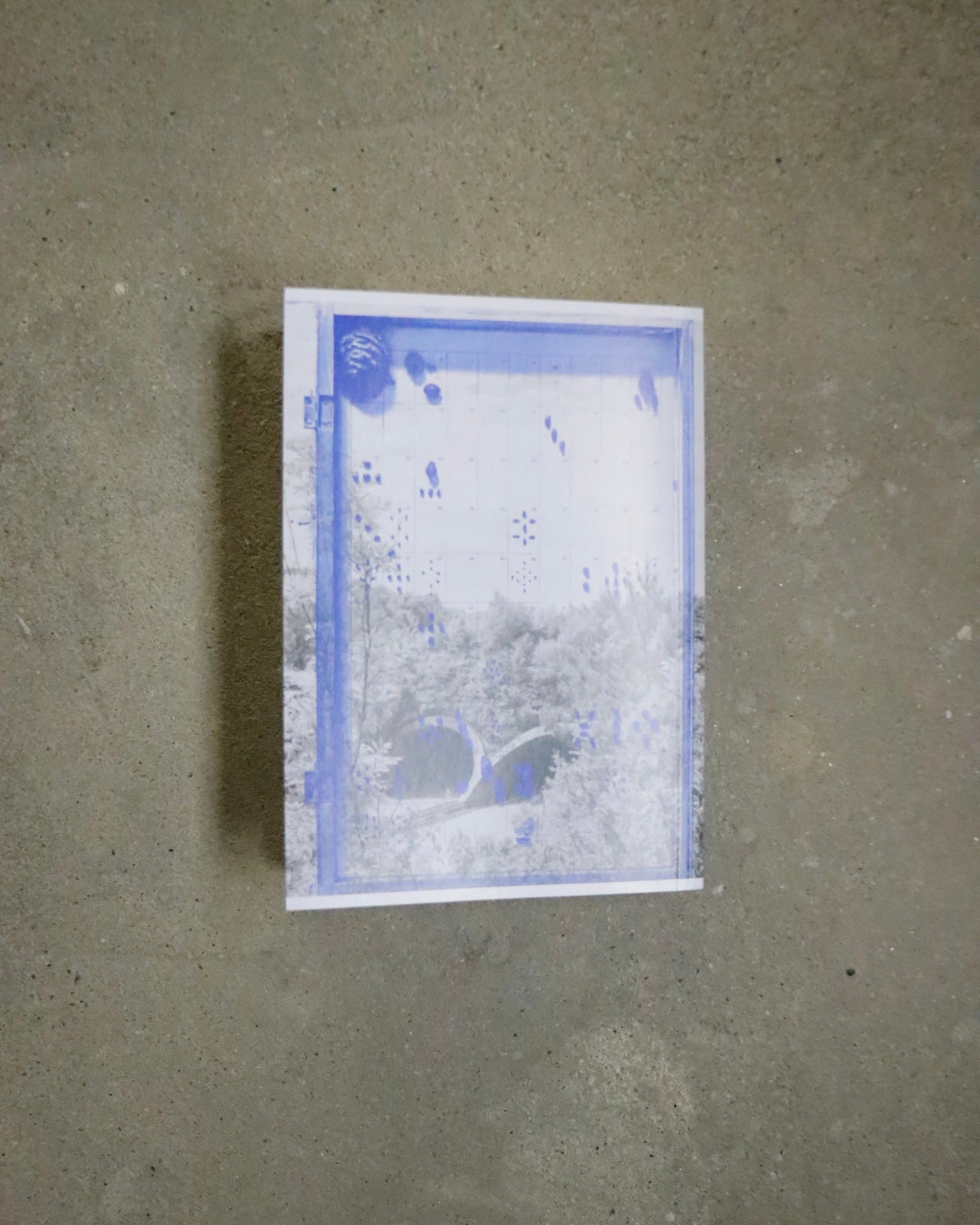 Marina Cneve-On The Ground among the animals