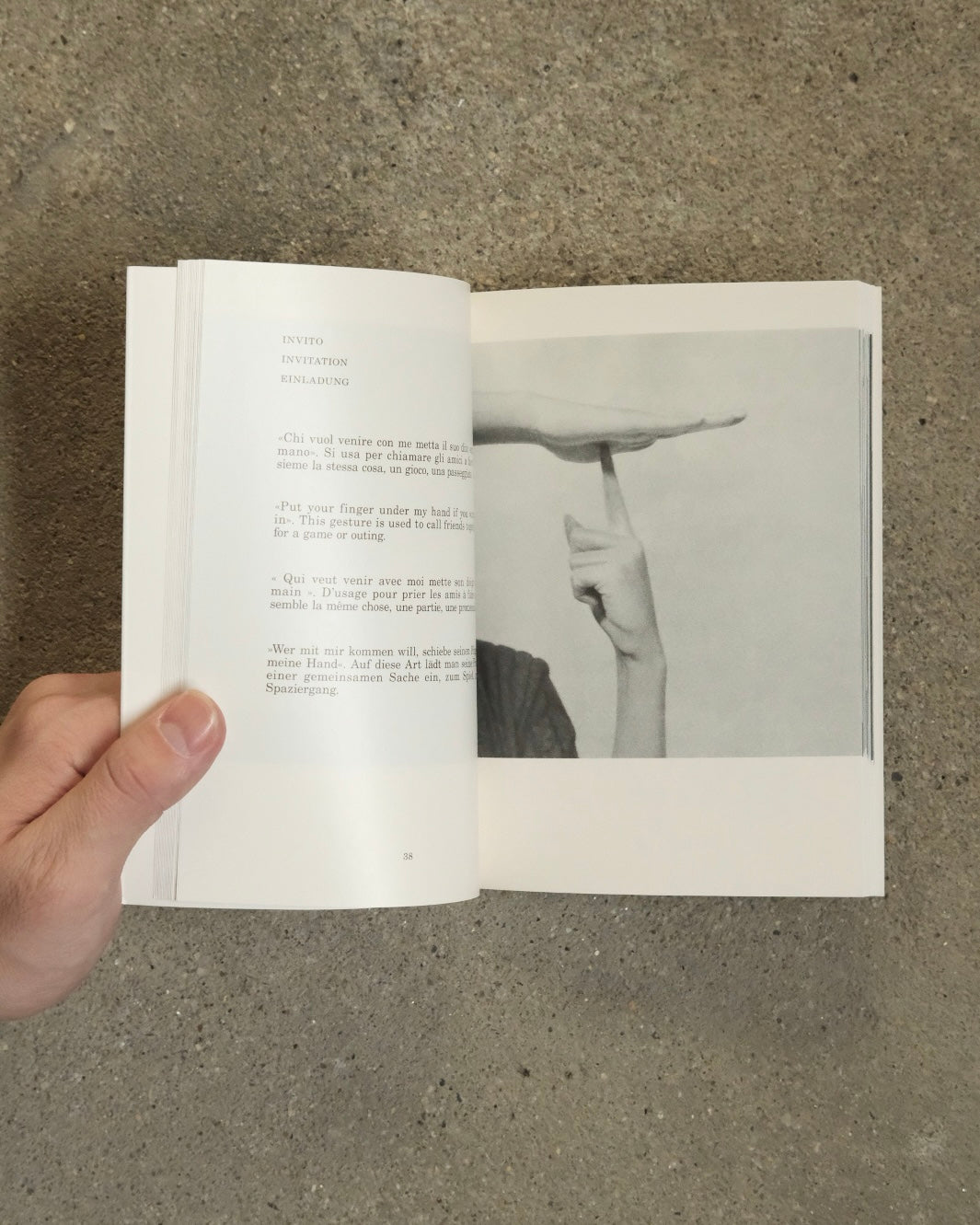 Supplemento al Dizionario Italiano/ Bruno Munari
