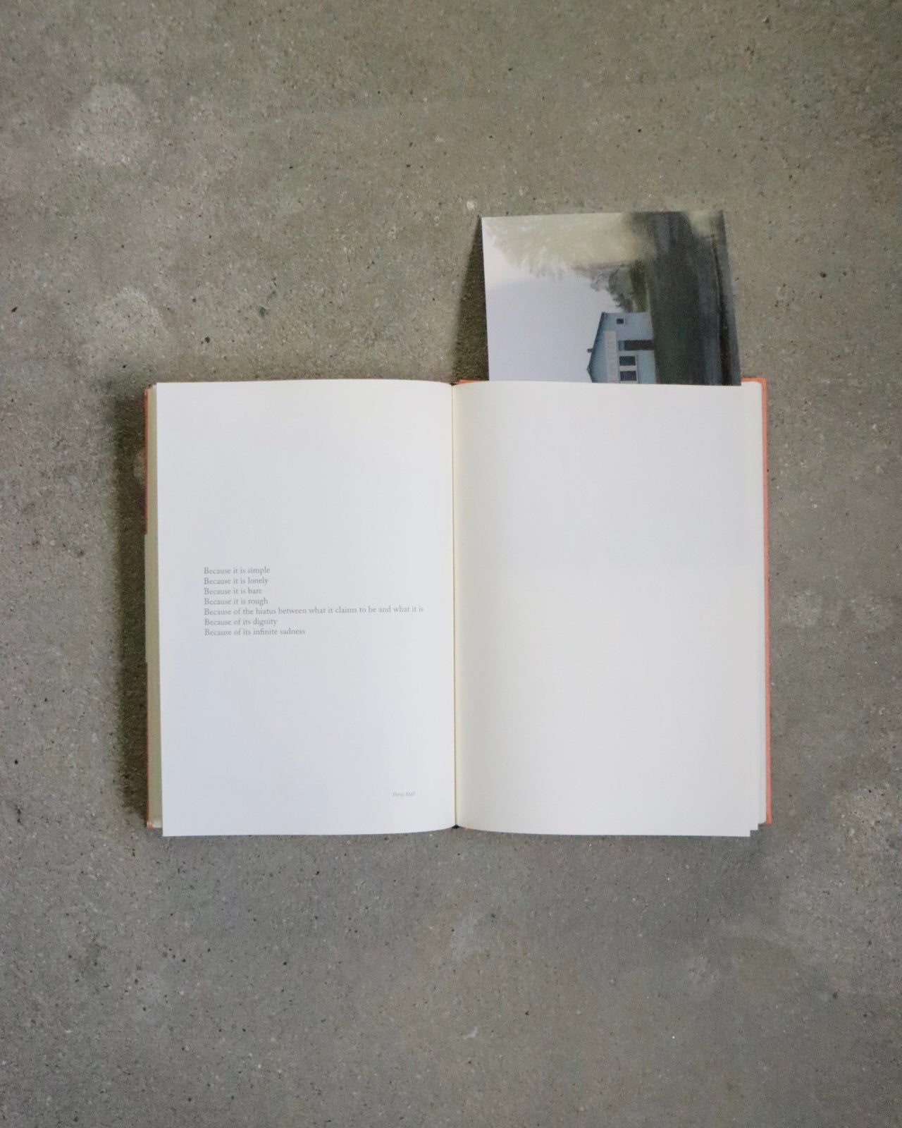 BECAUSE by Sophie Calle
