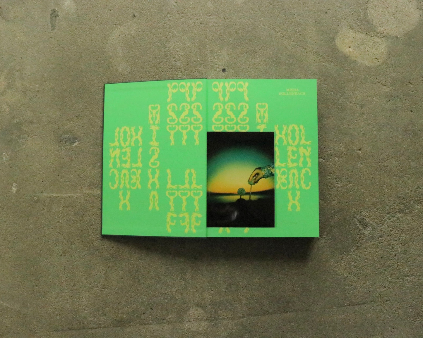 "PSY LYF" A Photographic Journal by Misha Hollenbach