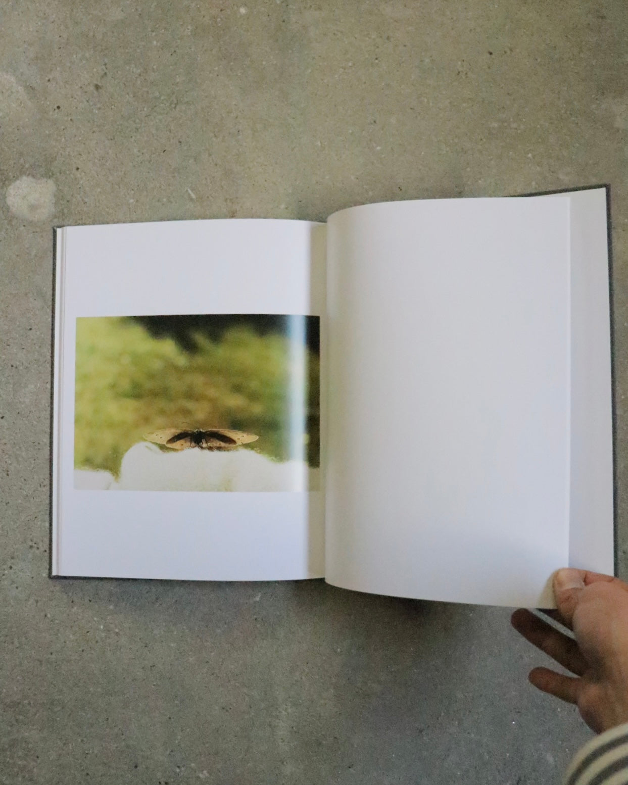 WAITING SOME BIRDS A BUS A WOMAN / SPIDERNETS PLACES A CREW - Anders Edstörom