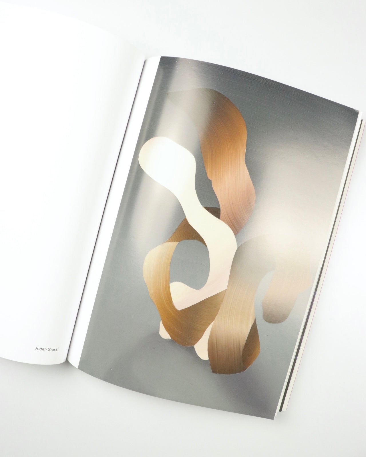 The Light Observer The Prospective Issue -n°04