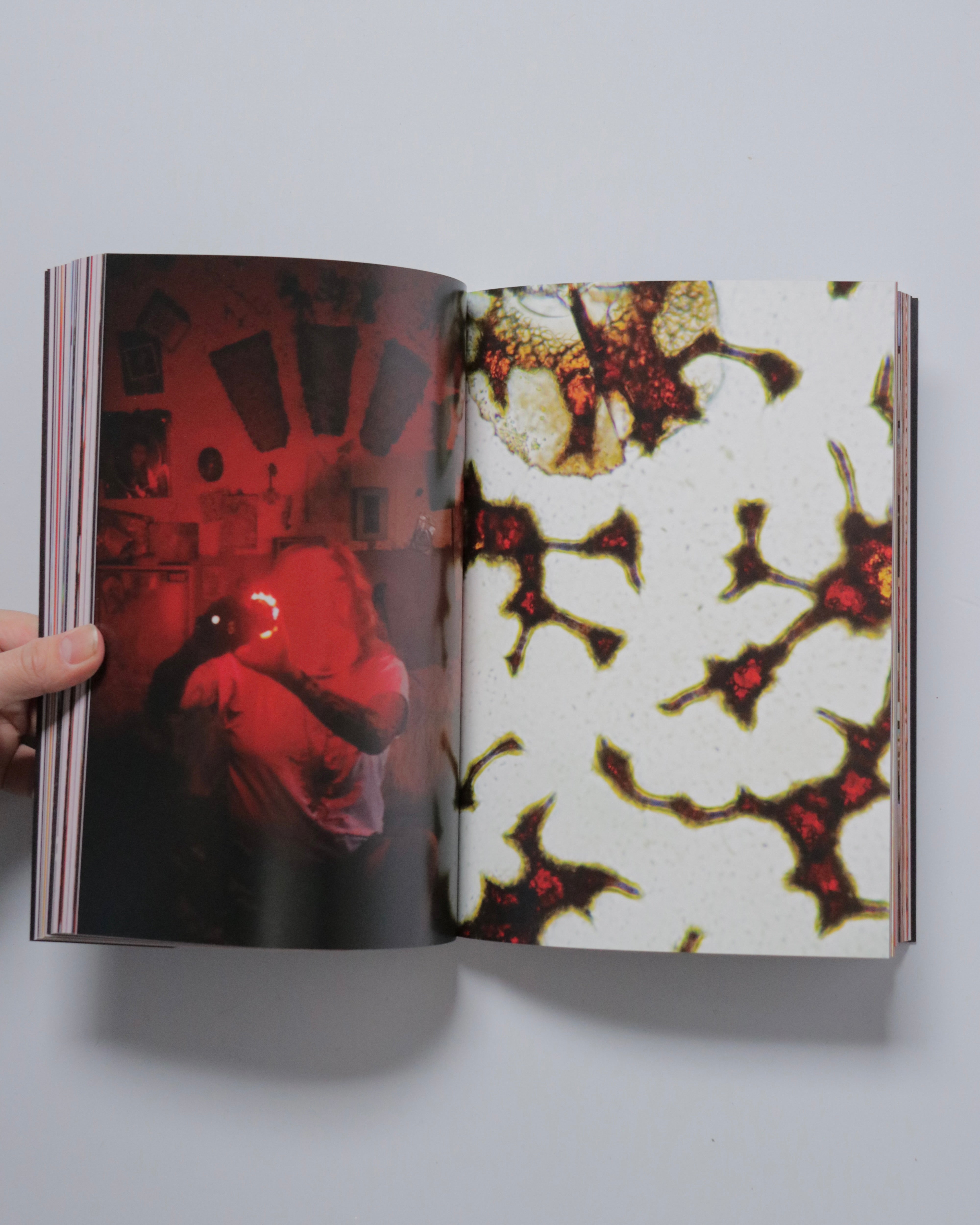 ONE BLOOD by Frank Levon