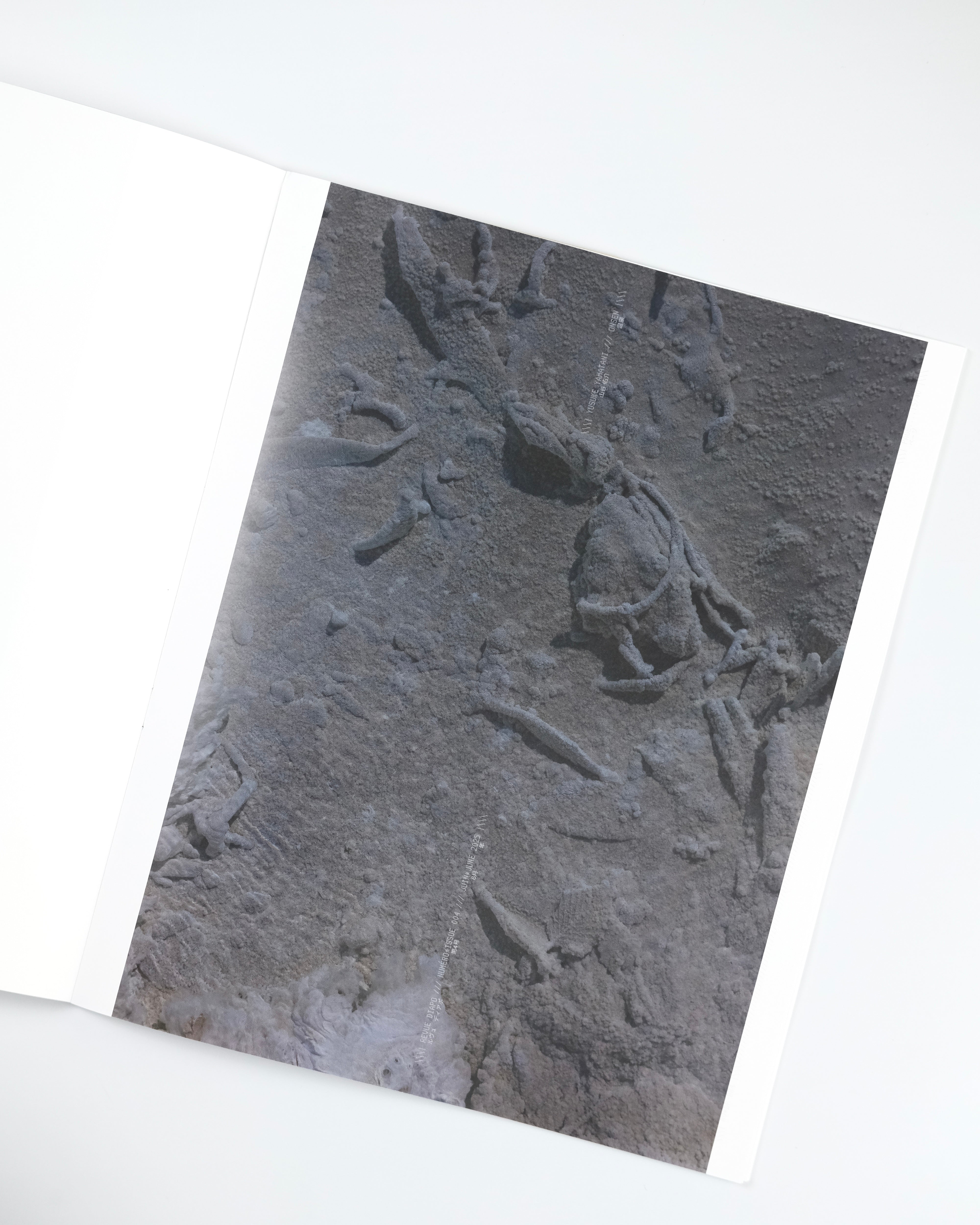 Revue Diapo 004 Yusuke Yamatani : 山谷悠介