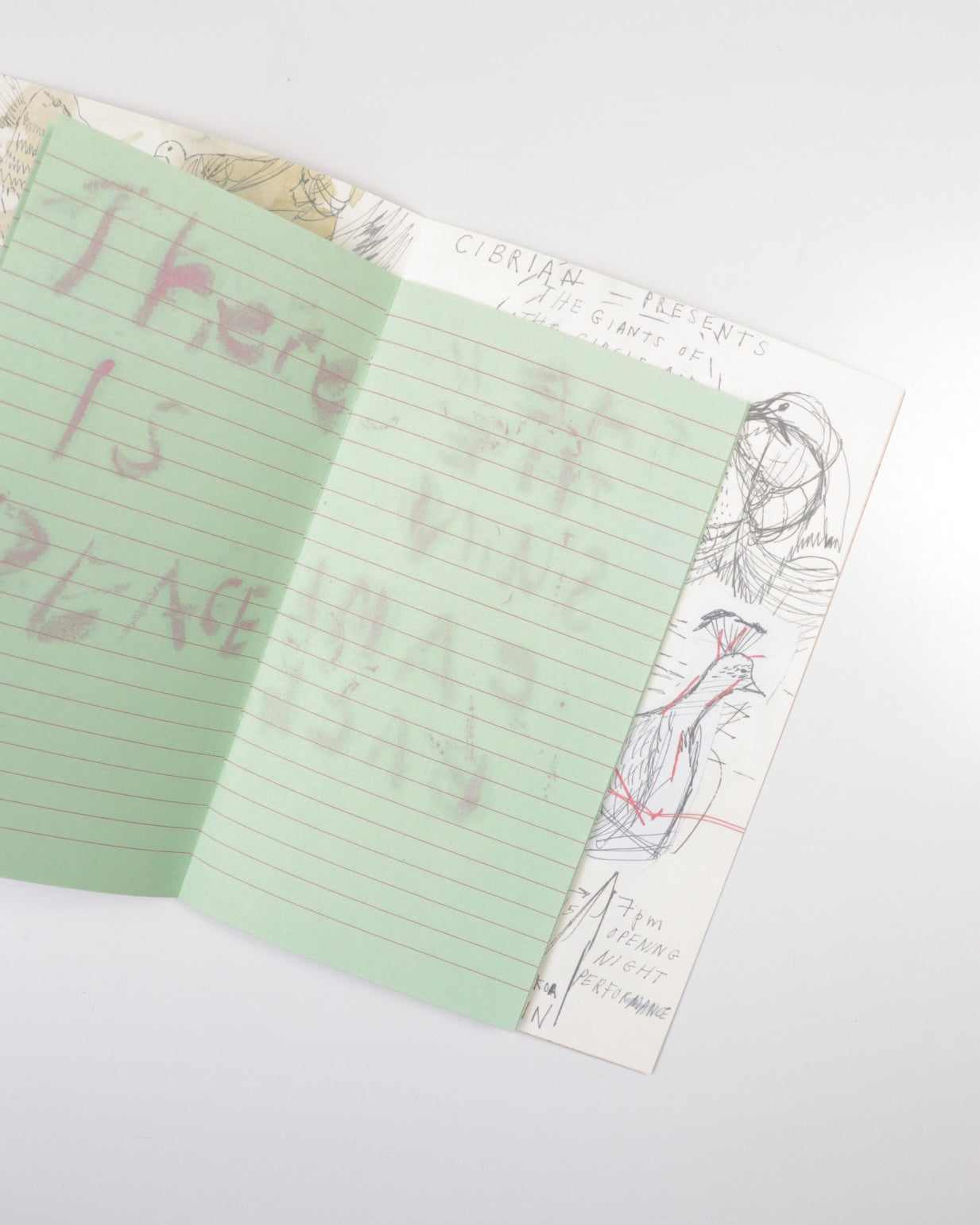 In the Sunset – There Is Life – It Shines on Us/Susan Cianciolo