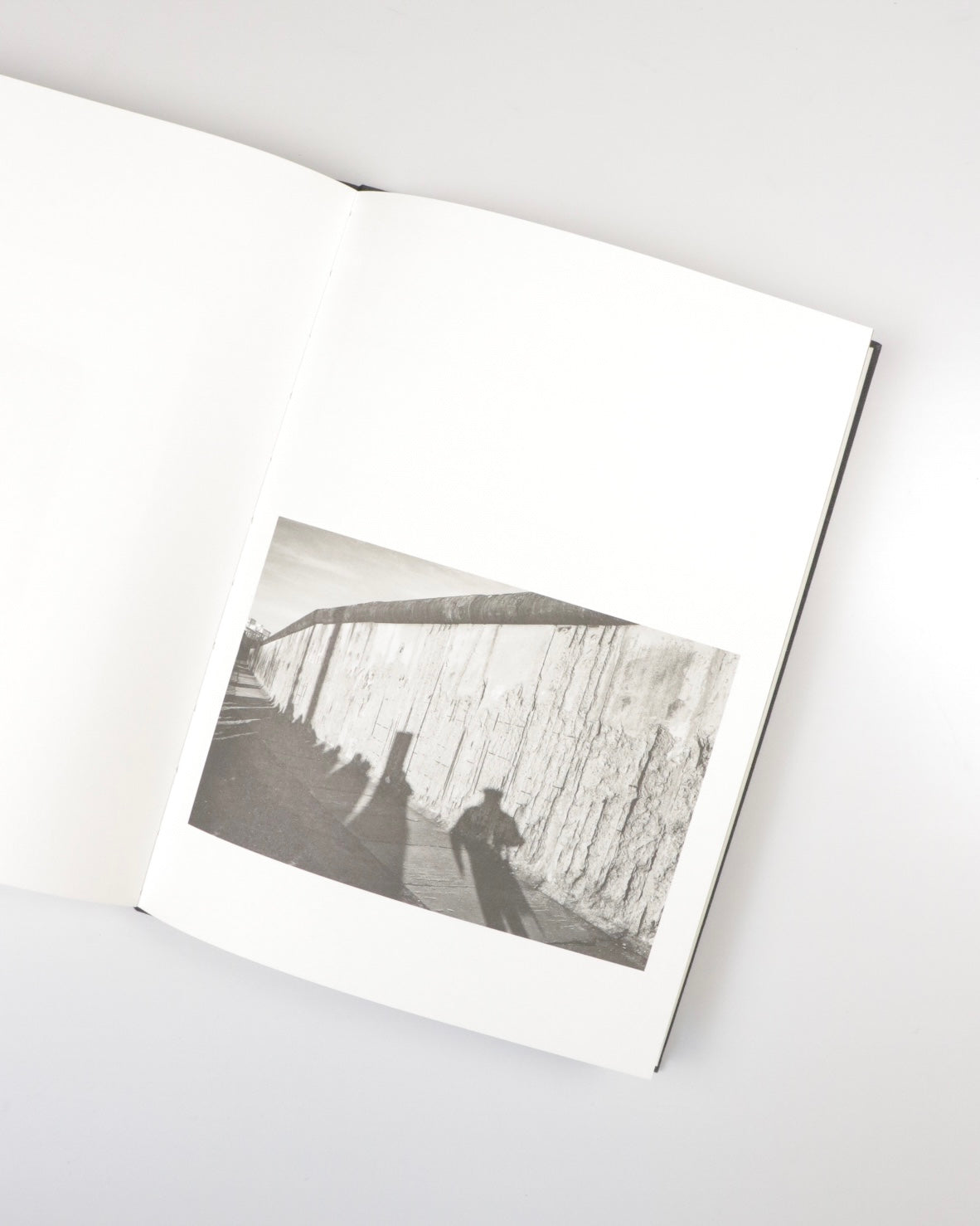 Michael S. Honegger - The Need to Know (signed)