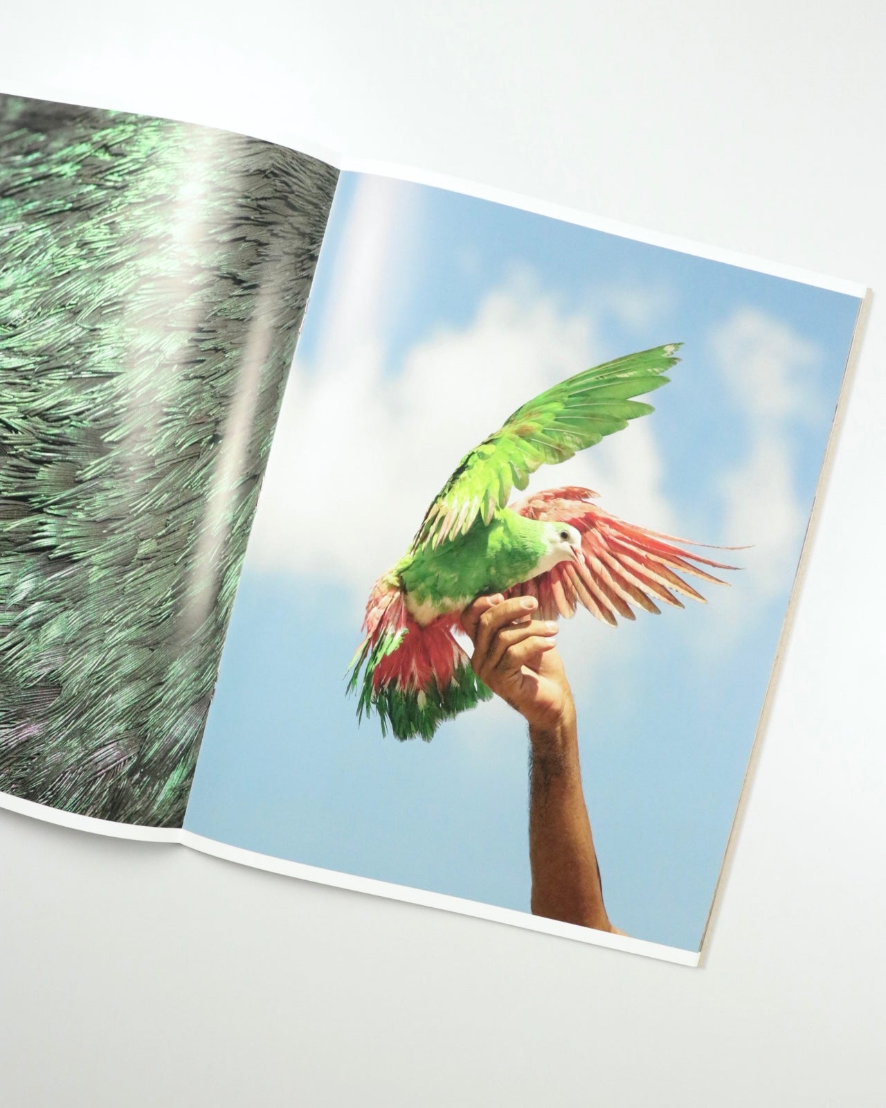 Picadero by Carlos Jaramillo