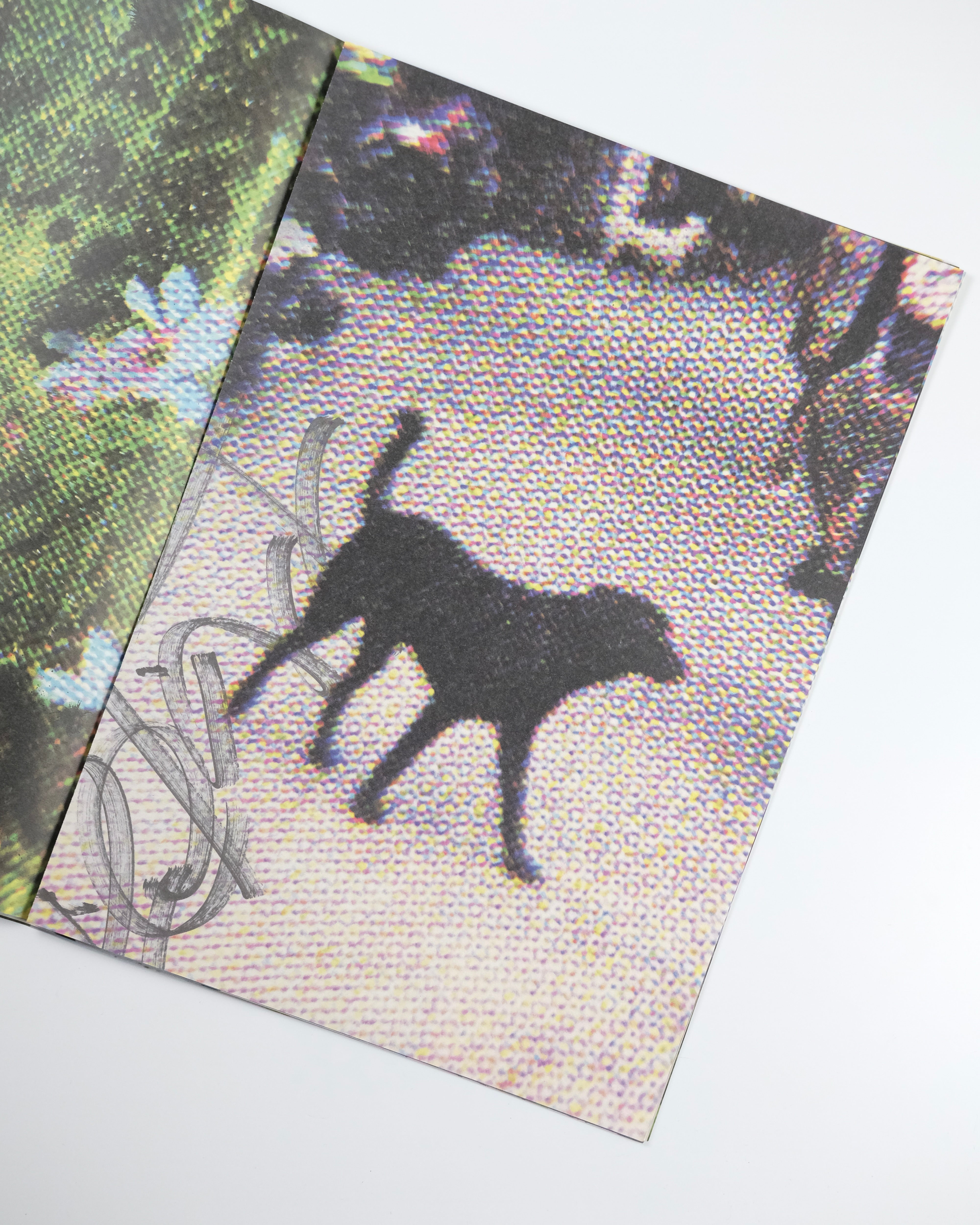 VANISHING POINT exhibition in liminal zone / Kanade Hamamoto : 濵本 奏