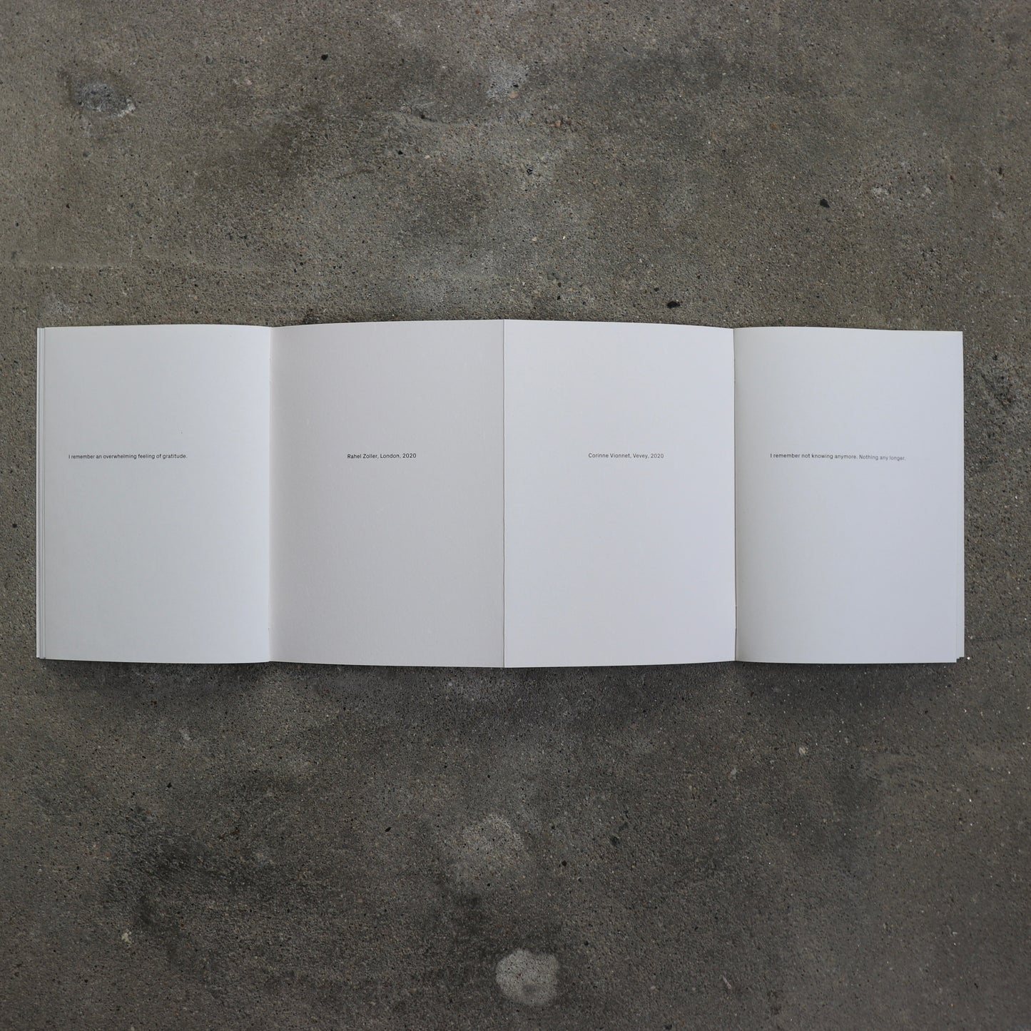 What Remains / Corinne Vionnet, Rahel Zoller