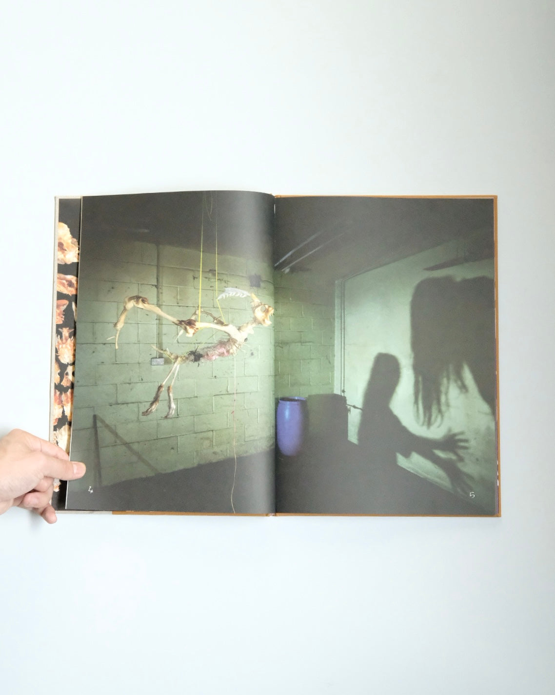 Diplodoclus 2014–2021 / LPPL with Åbäke