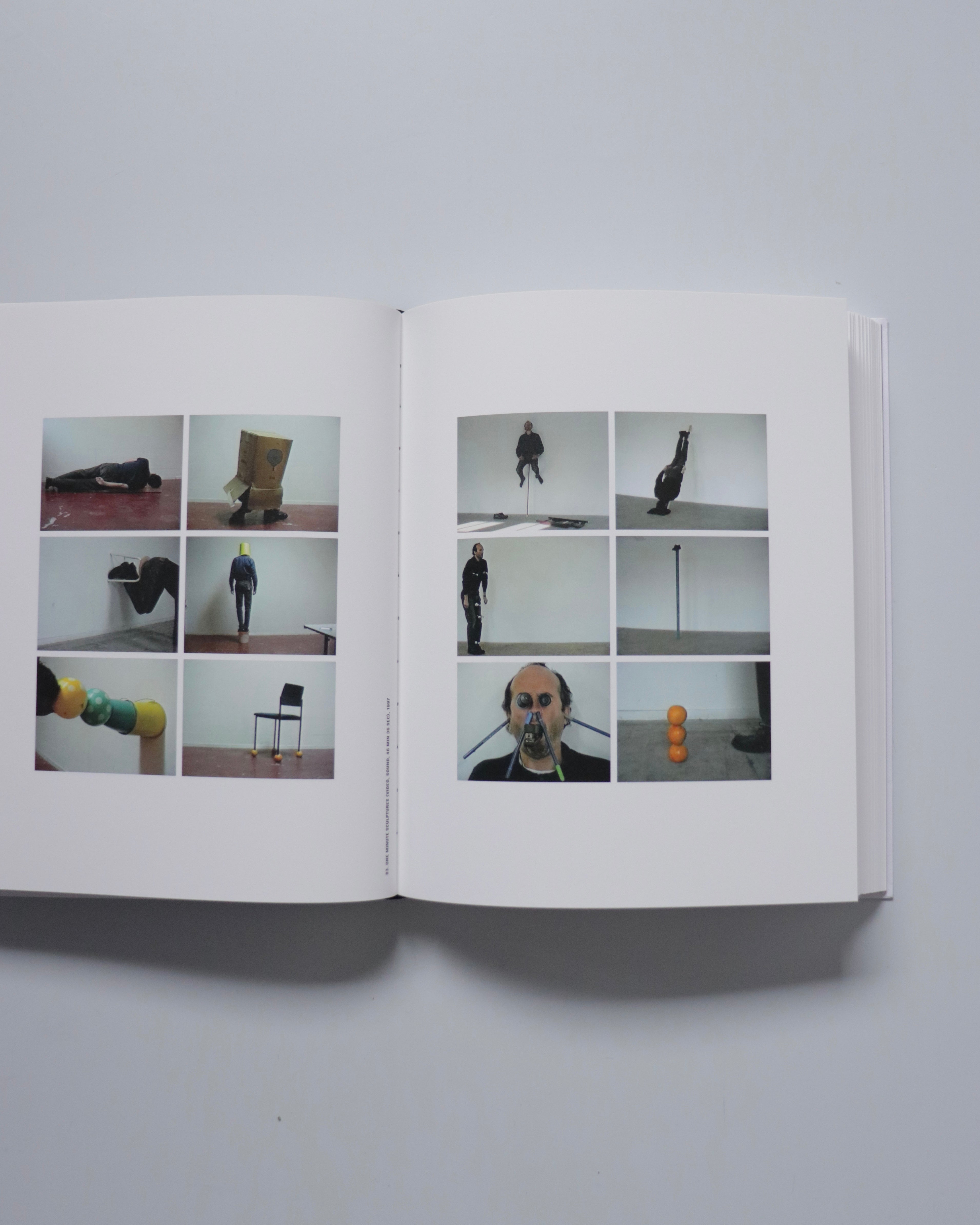 Erwin Wurm Photographs