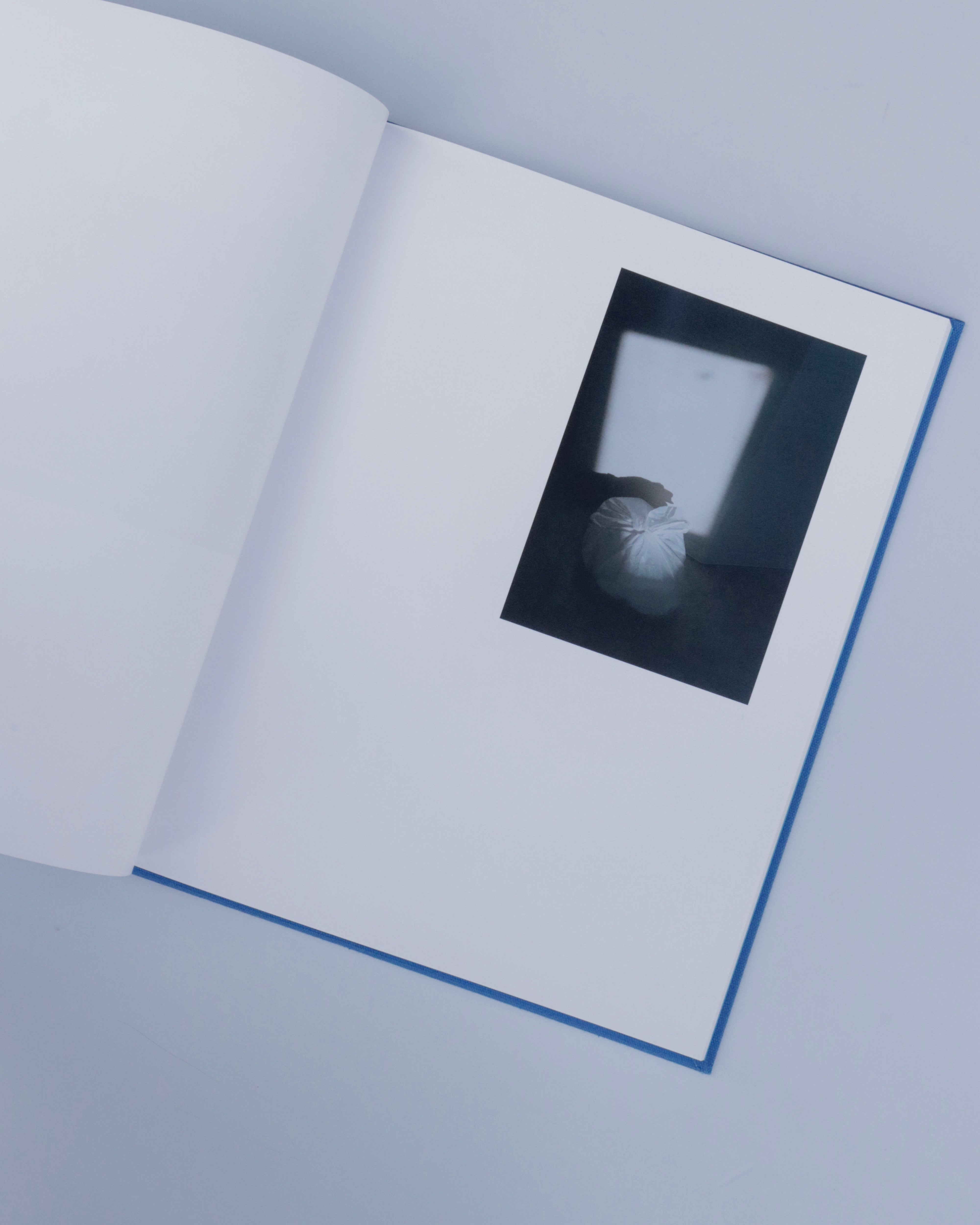 distance | Yusuke Ide