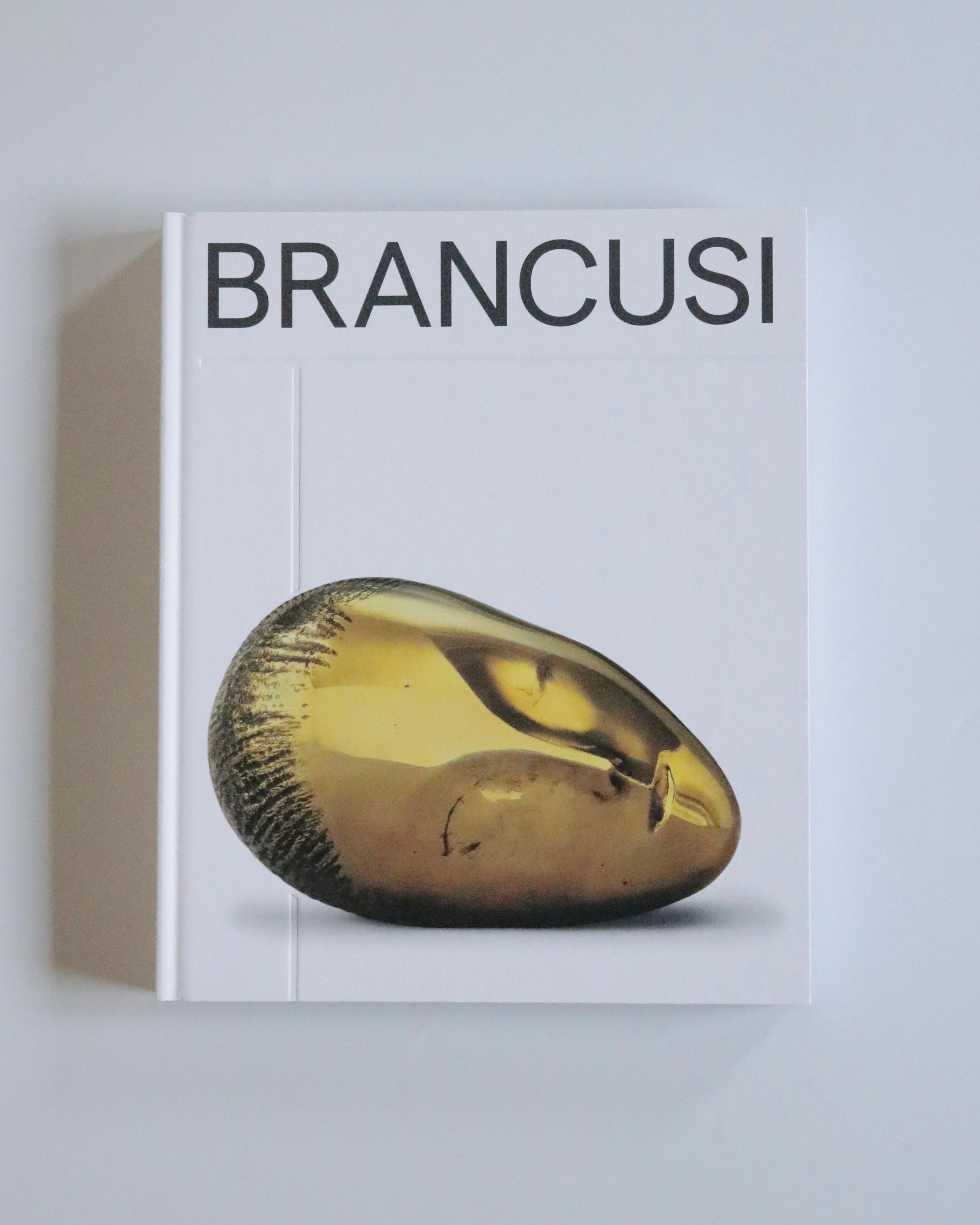 BRANCUSI by Constantin Brancusi