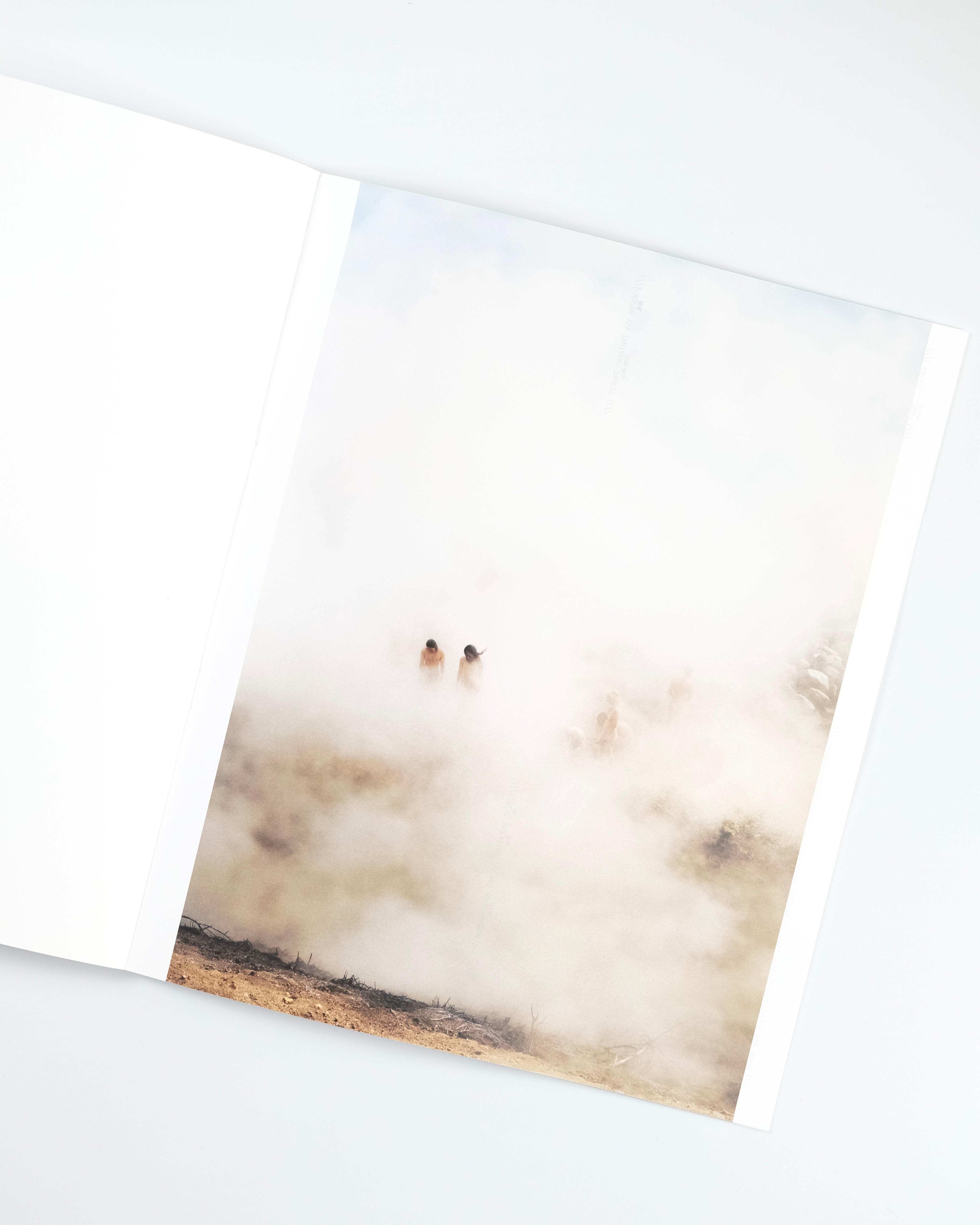 Revue Diapo 004 Yusuke Yamatani : 山谷悠介