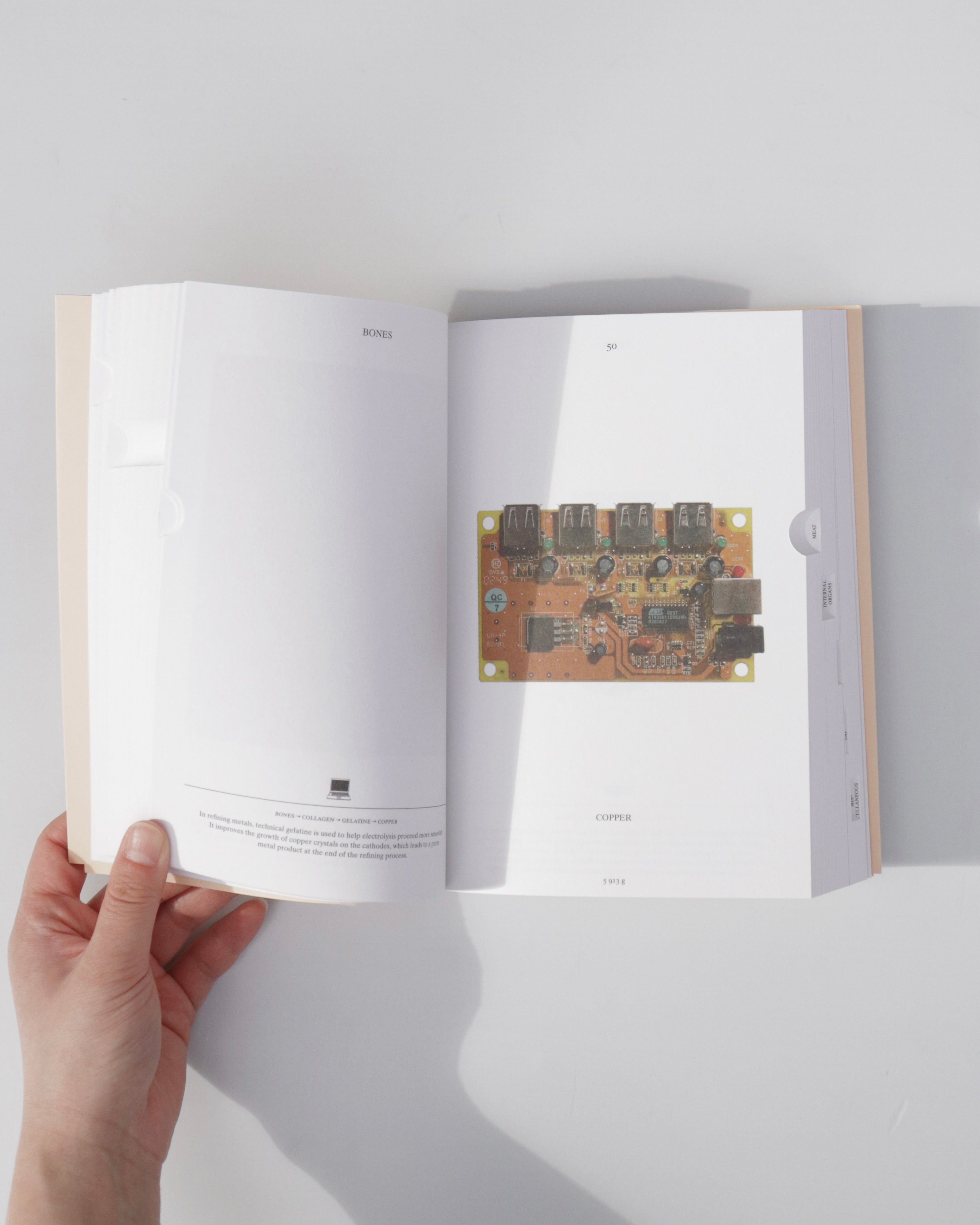 Pig 05049 / Christien Meindertsma