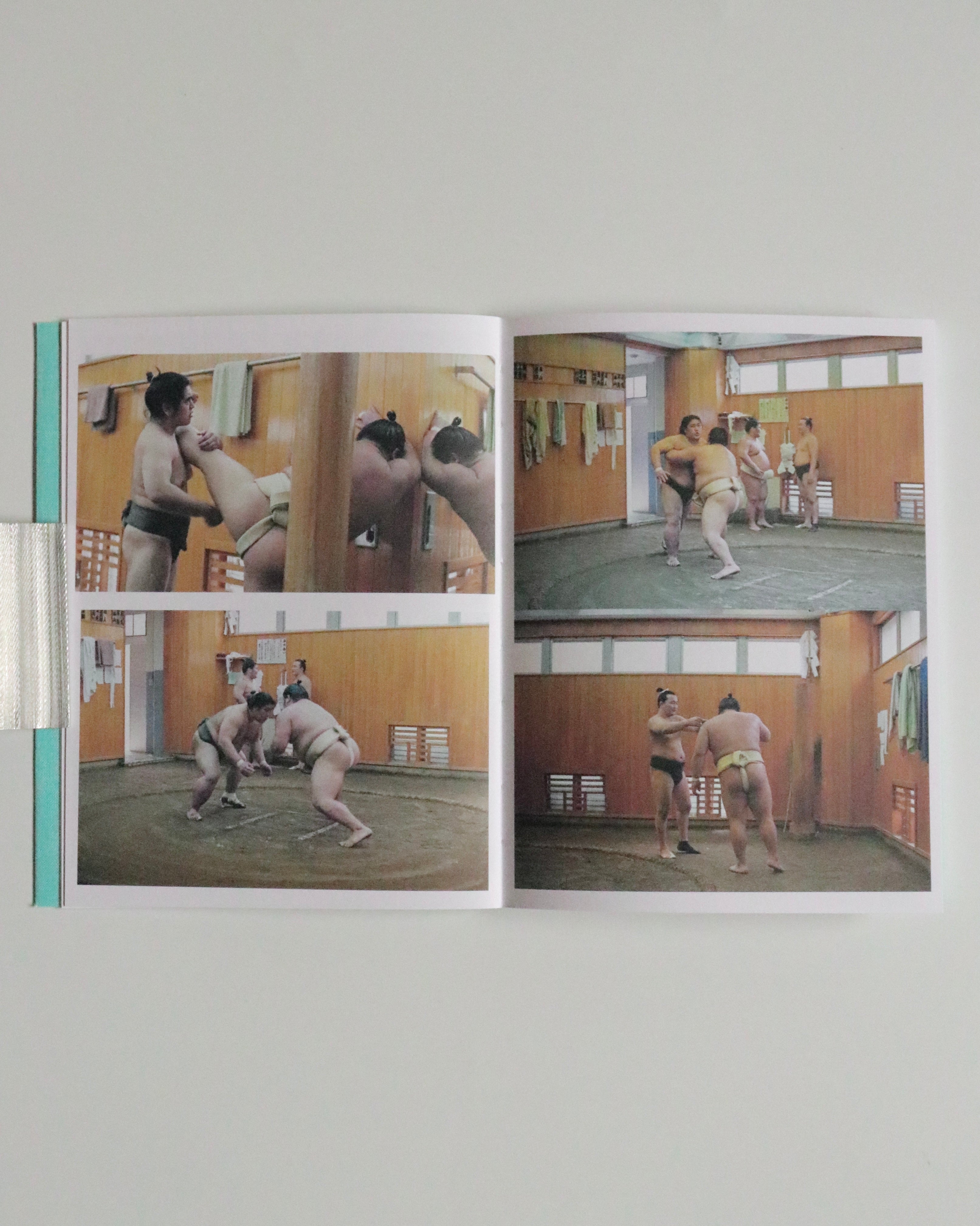 Sumo Judo / Ari Marcopoulos