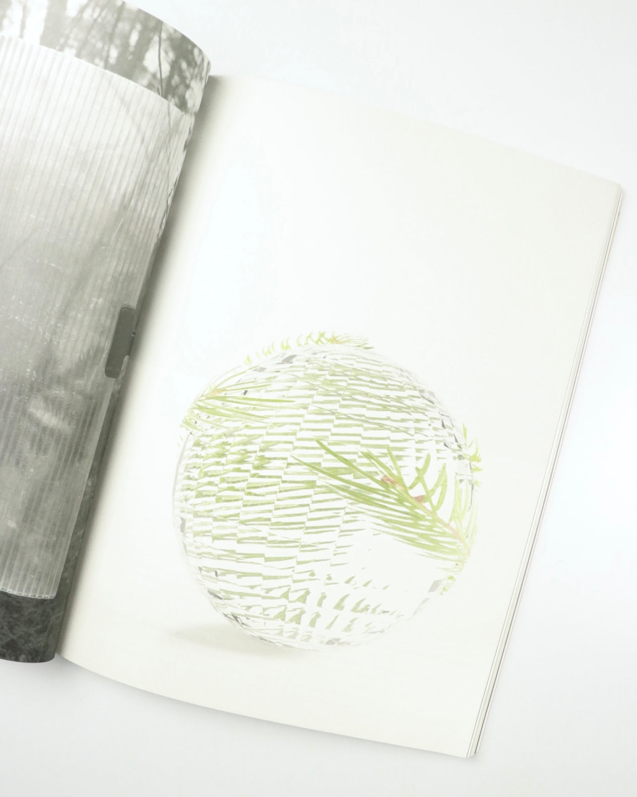 The Light Observer The Prospective Issue -n°04