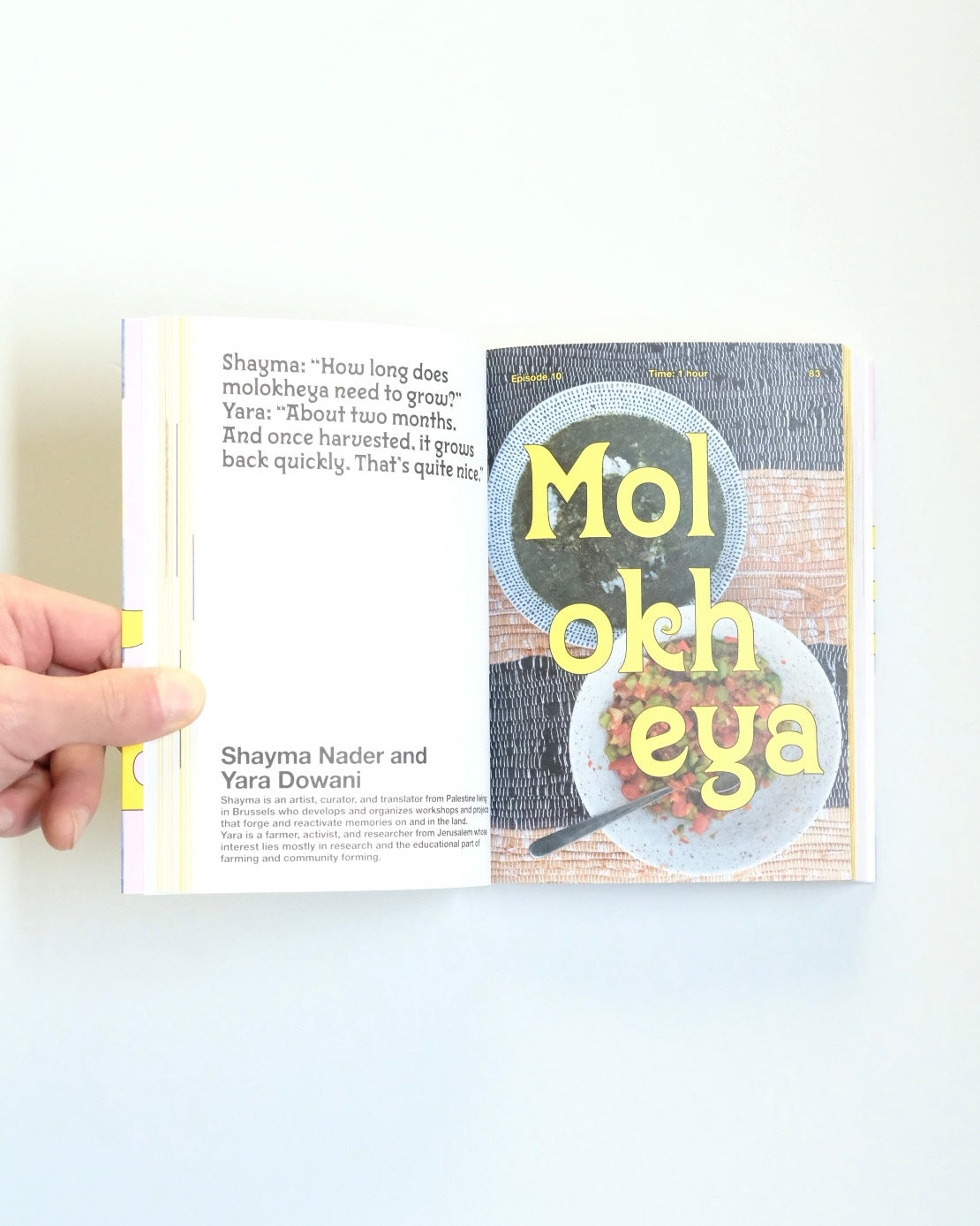 Lentil Space. Recipes from Artists’ Homes