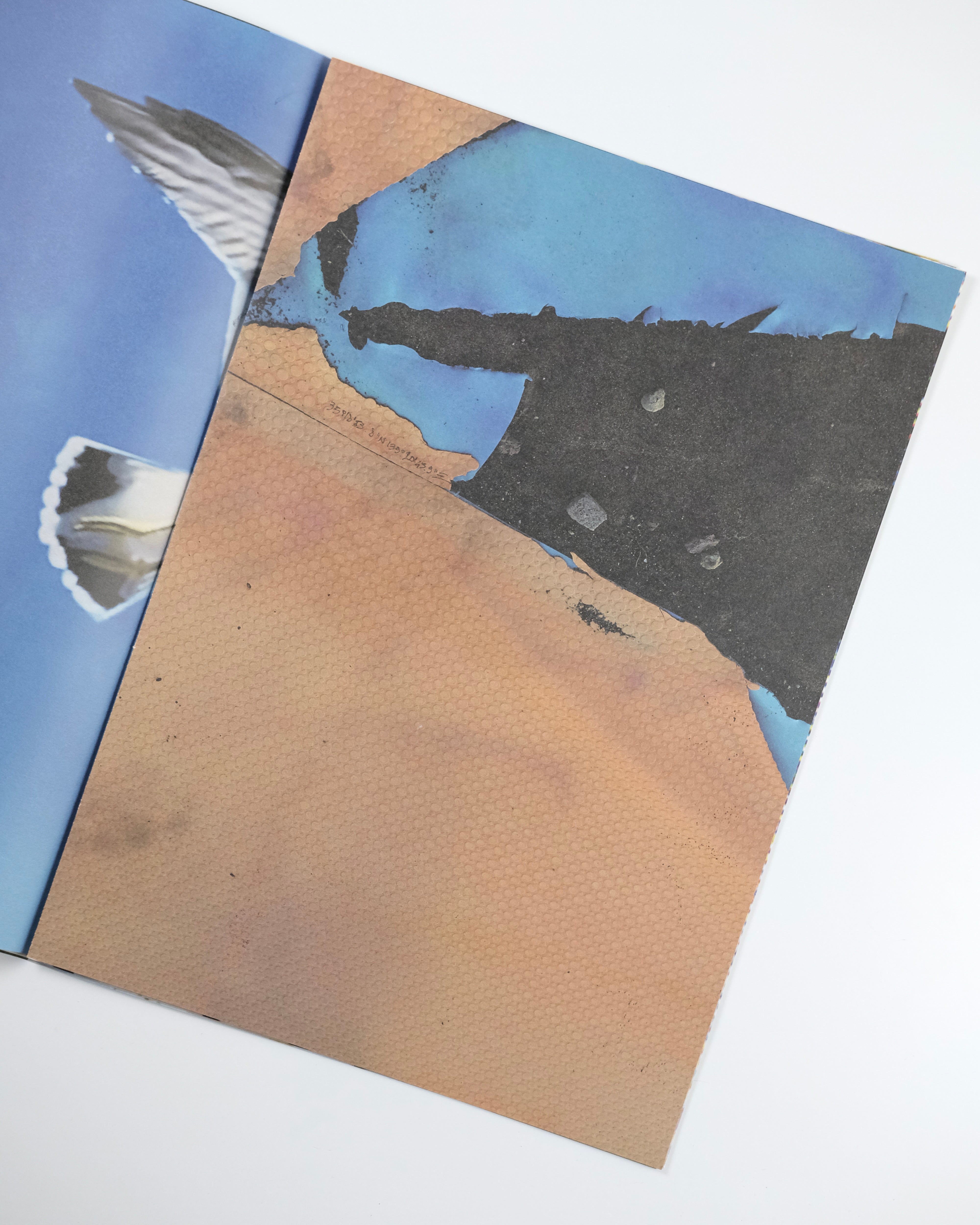 VANISHING POINT exhibition in liminal zone / Kanade Hamamoto : 濵本 奏