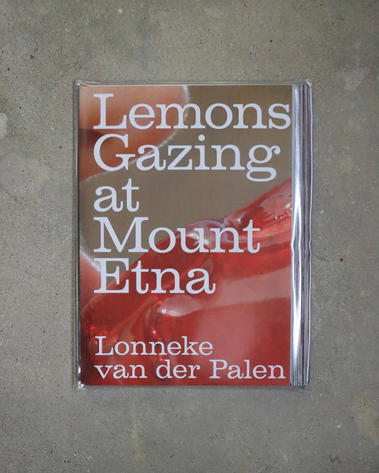 Lonneke van der Palen-Lemons Gazing at Mount Etna