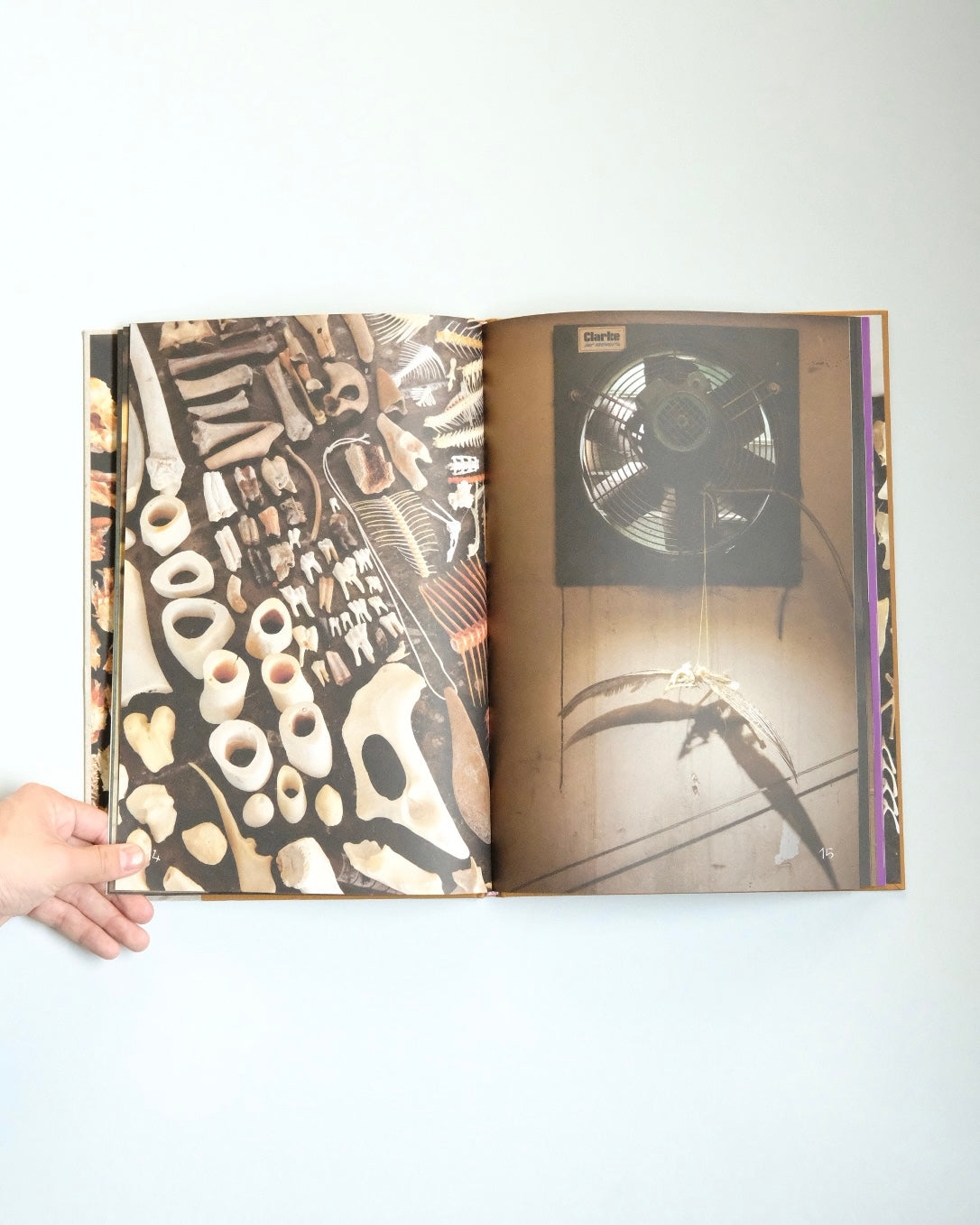 Diplodoclus 2014–2021 / LPPL with Åbäke