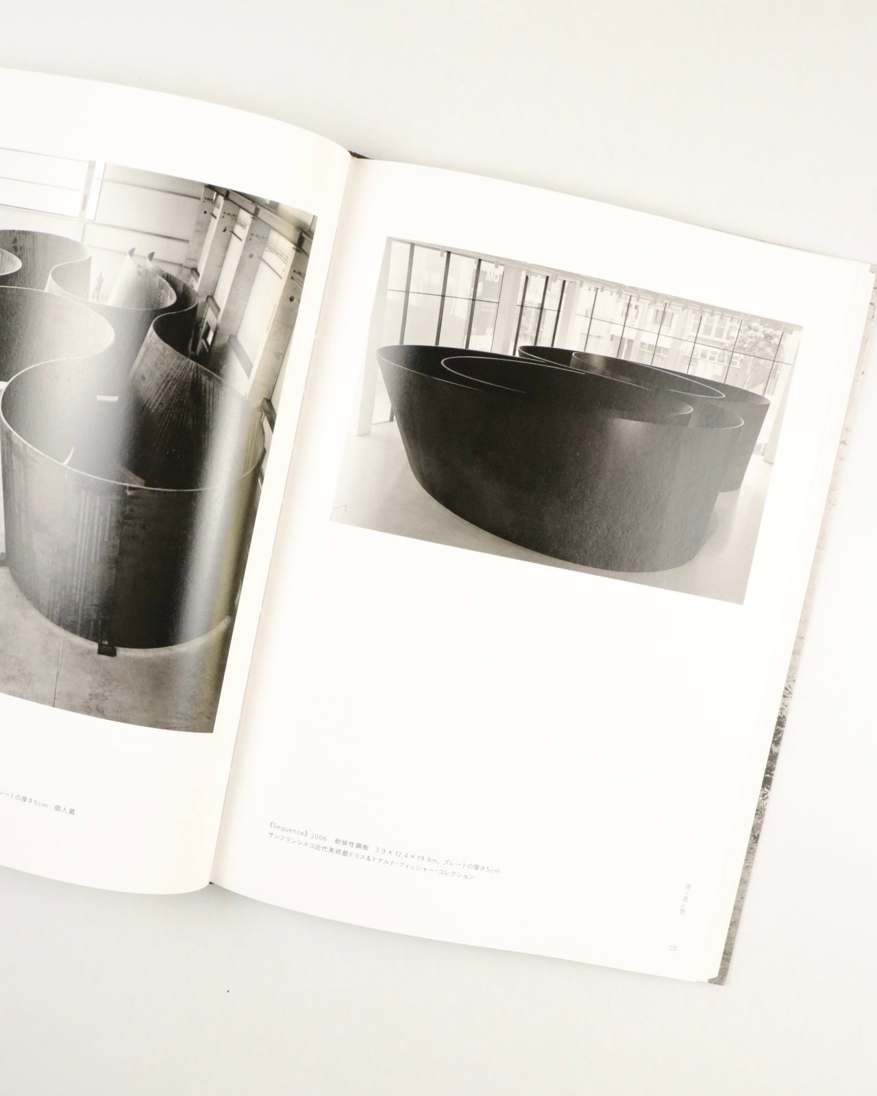 RICHARD SERRA I HAL FOSTER 彫刻にまつわる対話 by Richard Serra, Hal Foster