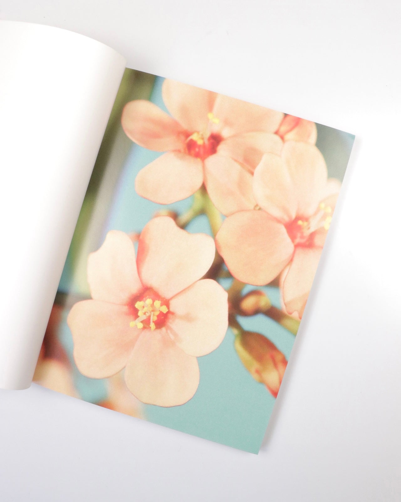 Mother / Adrian Samson