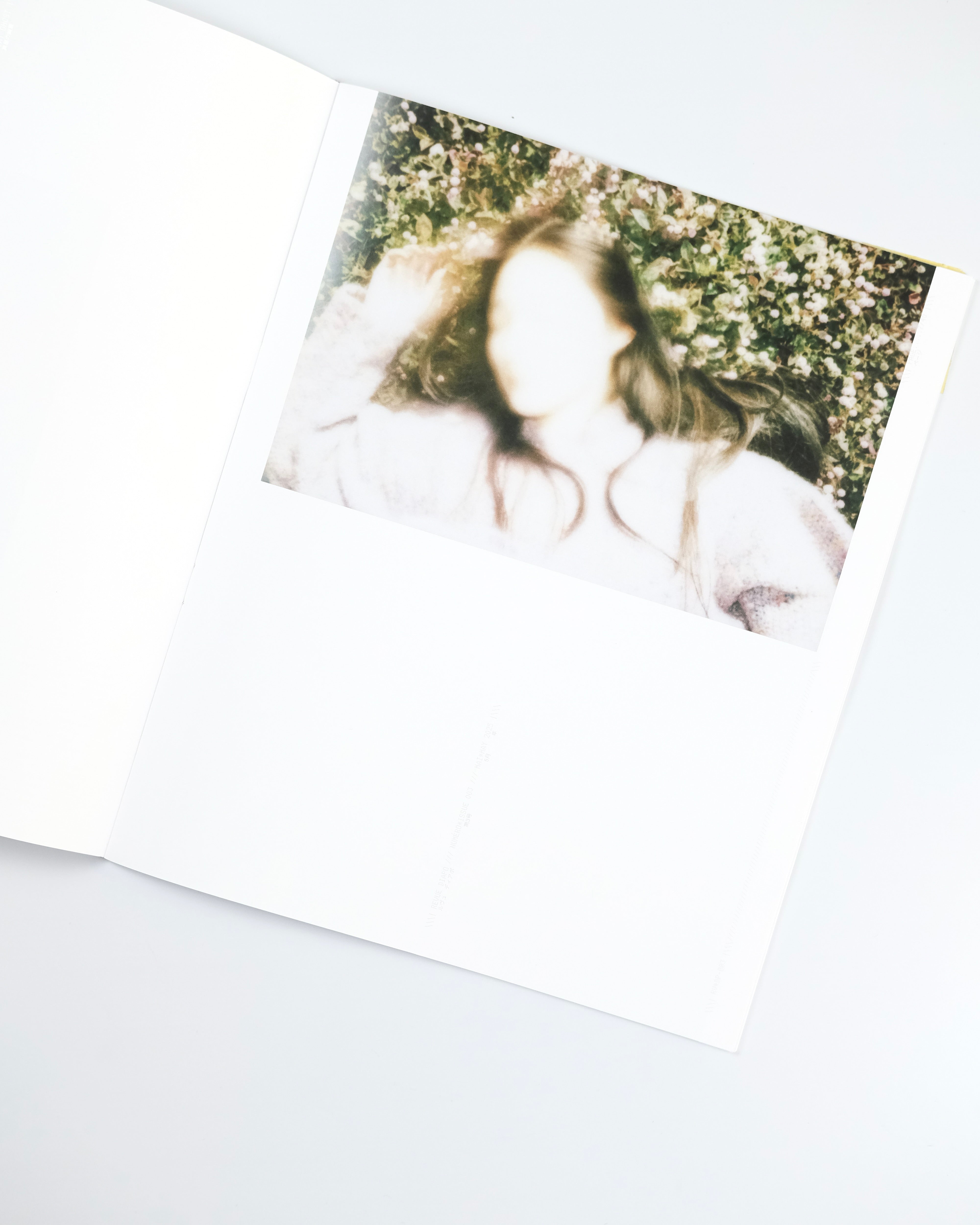 Revue Diapo 003 Kanade Hamamoto: 濵本 奏