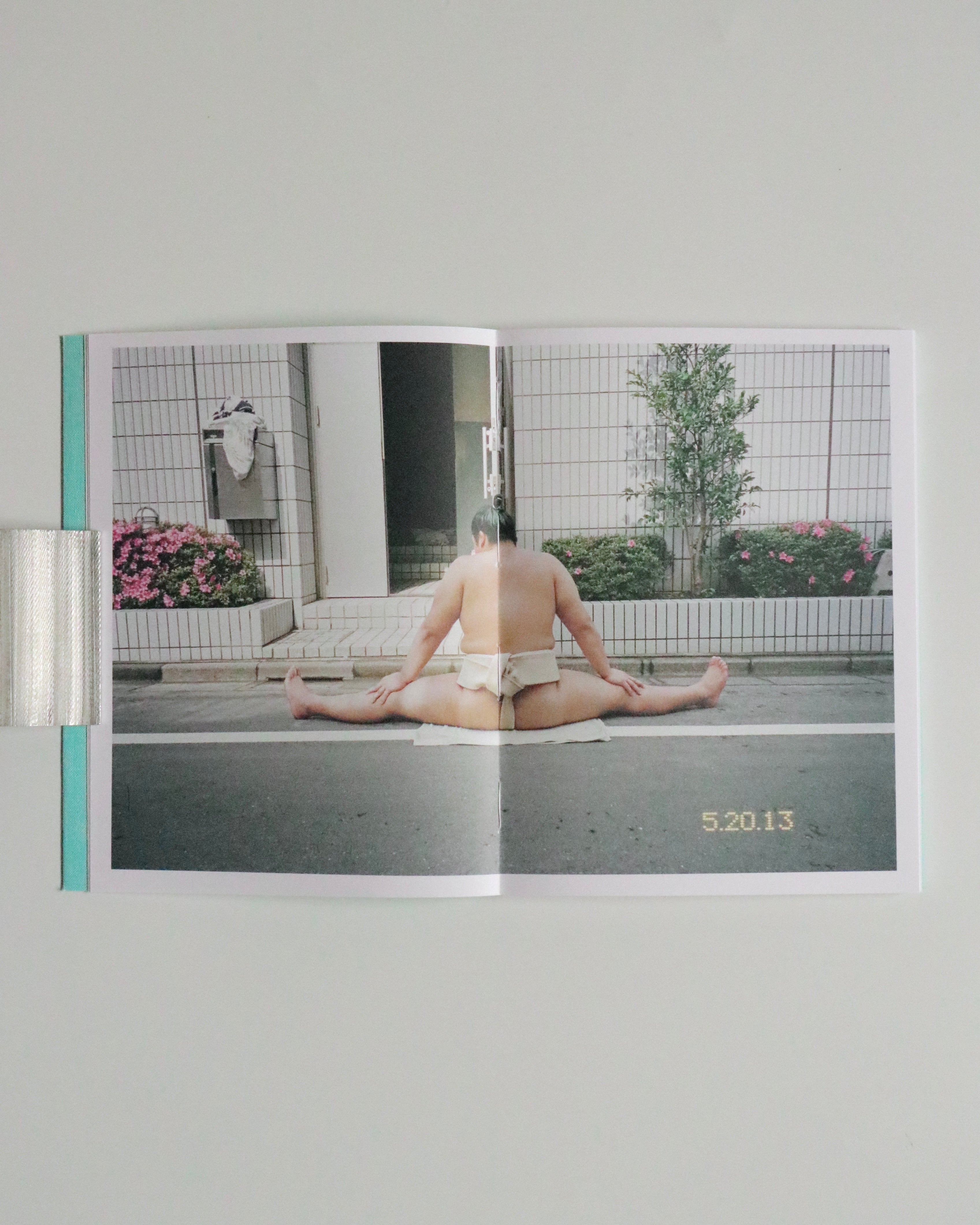 Sumo Judo / Ari Marcopoulos