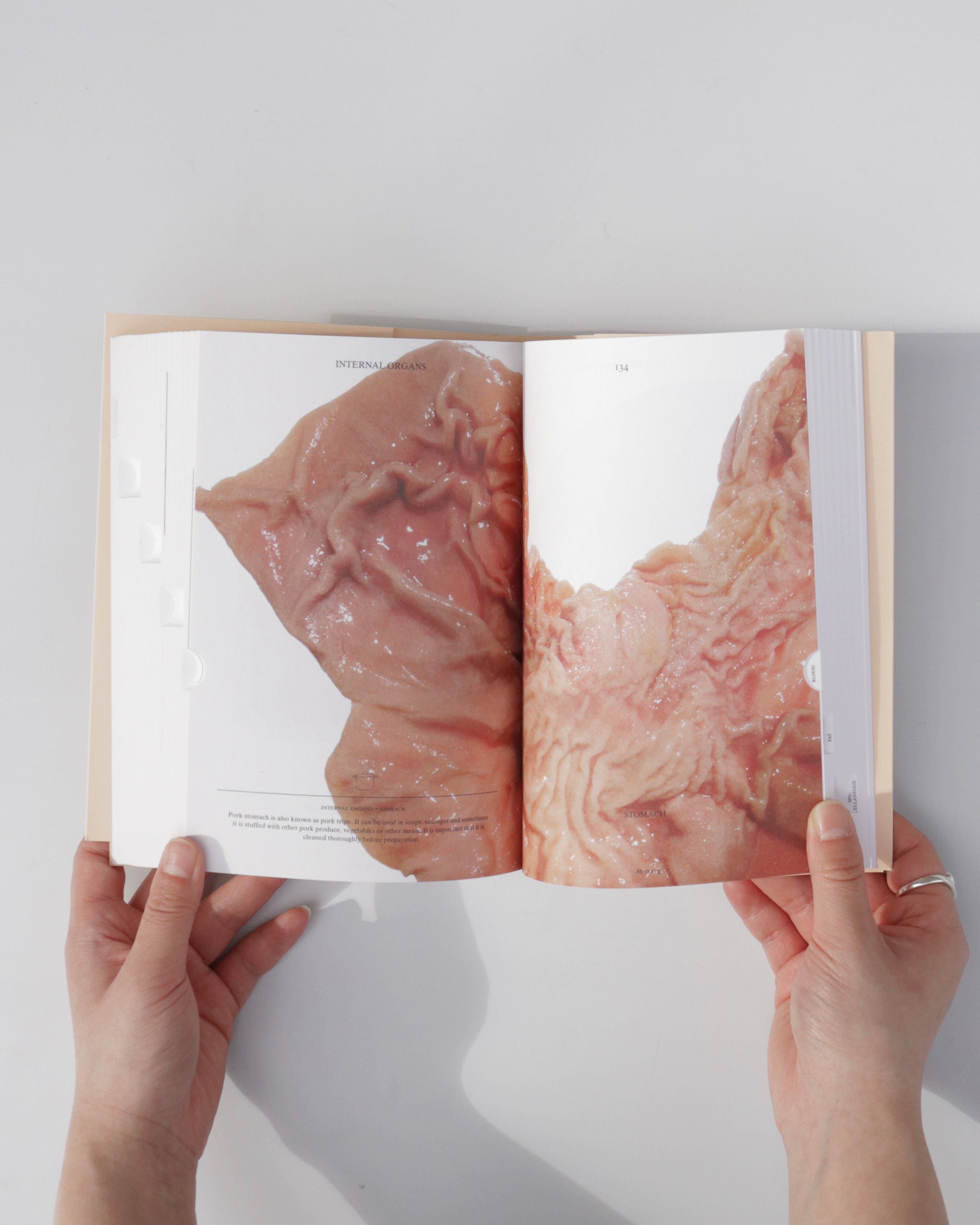 Pig 05049 / Christien Meindertsma